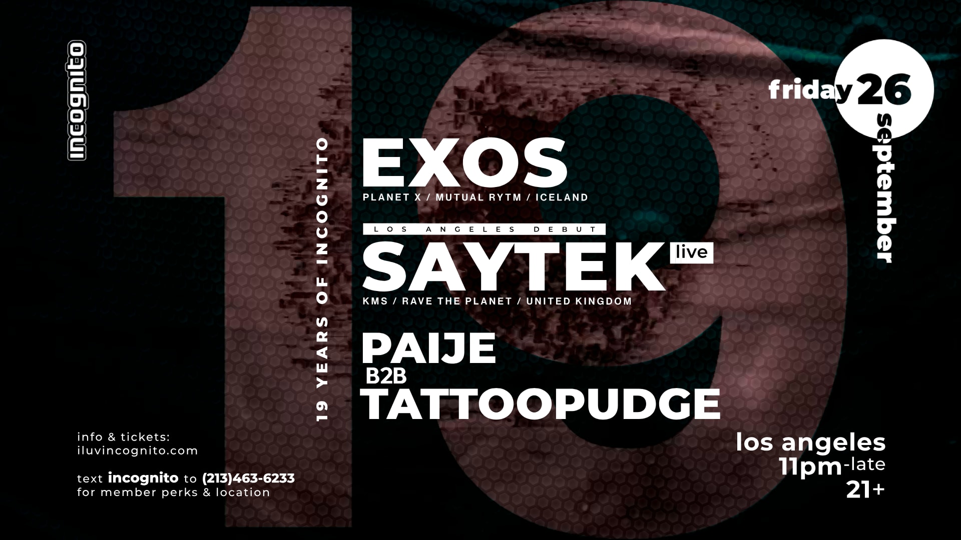 Incognito 19 Years: Exos Plus La Debut Of Saytek -Live-