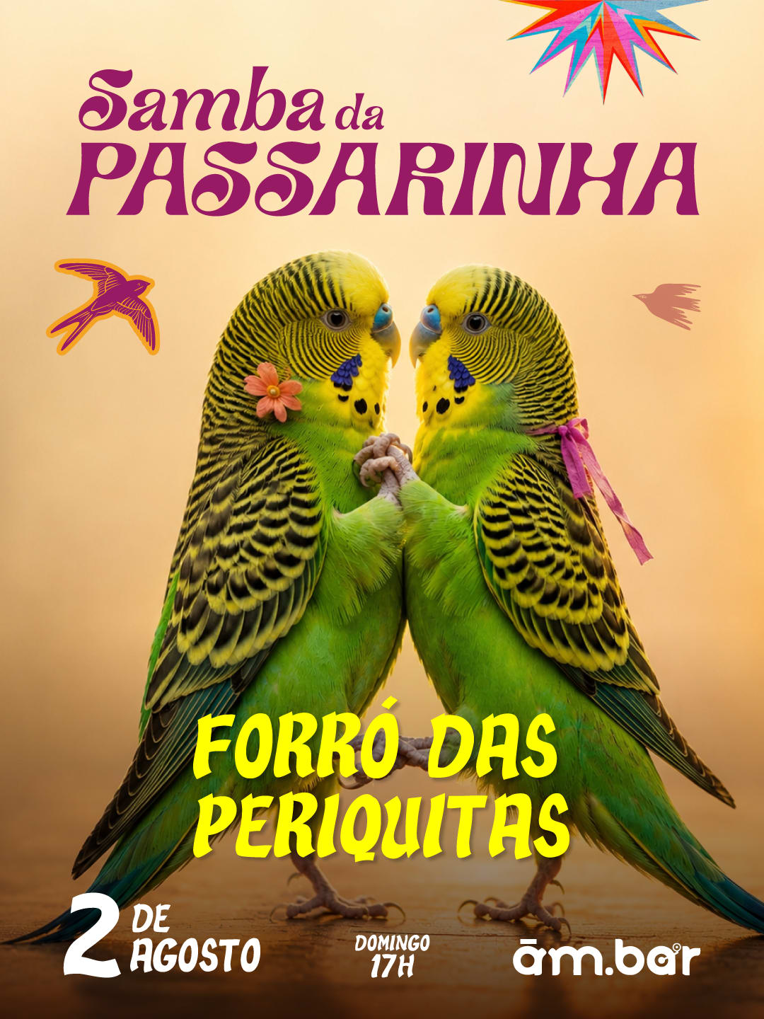02/08: Samba Da Passarinha Especial Forró Das Periquitas