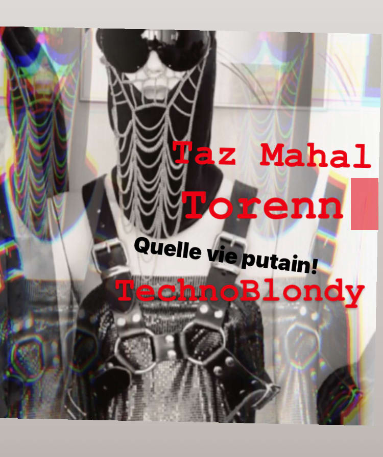 Sexapill / Quelle Vie Putain 