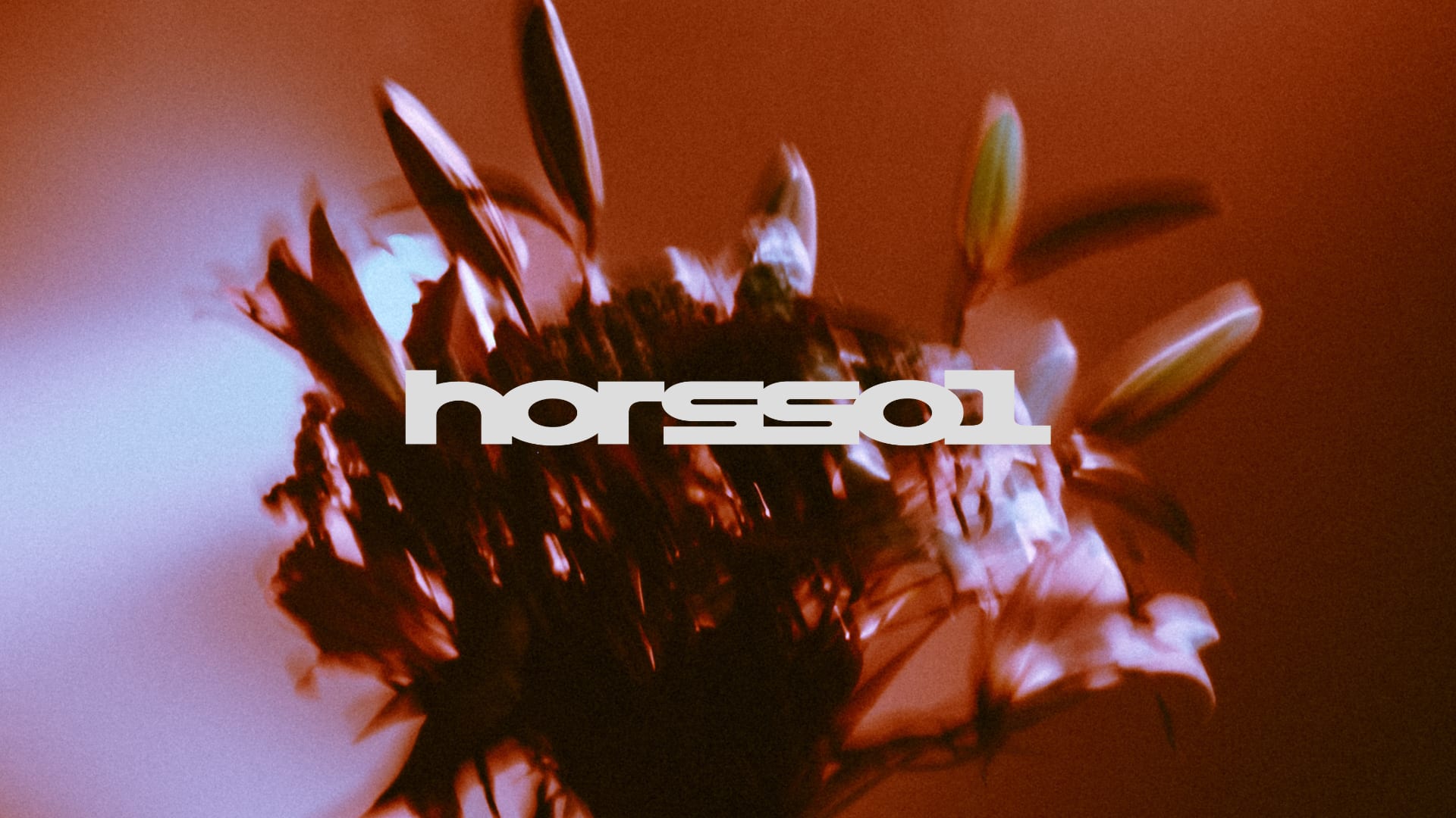 Hors-Sol — Adi + Domi + Konduku