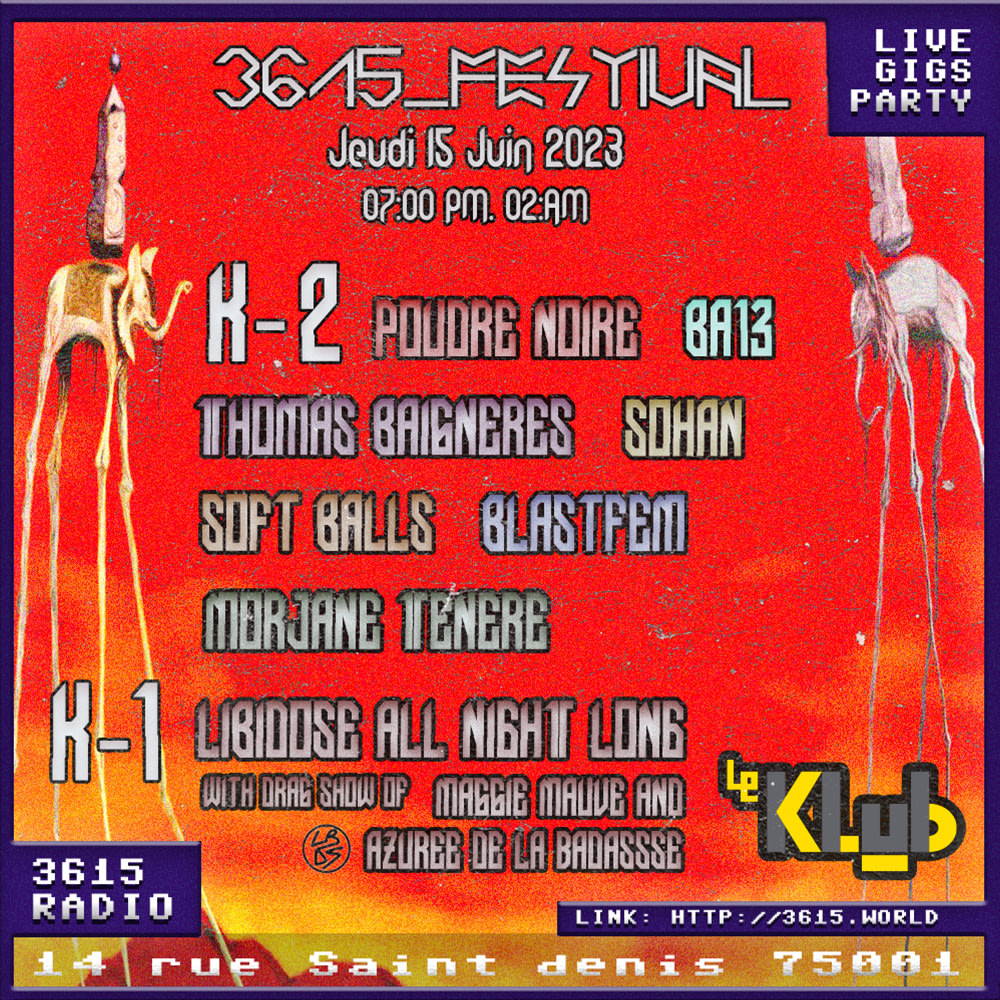 3615_Festival With Libidose And Lot Of Band