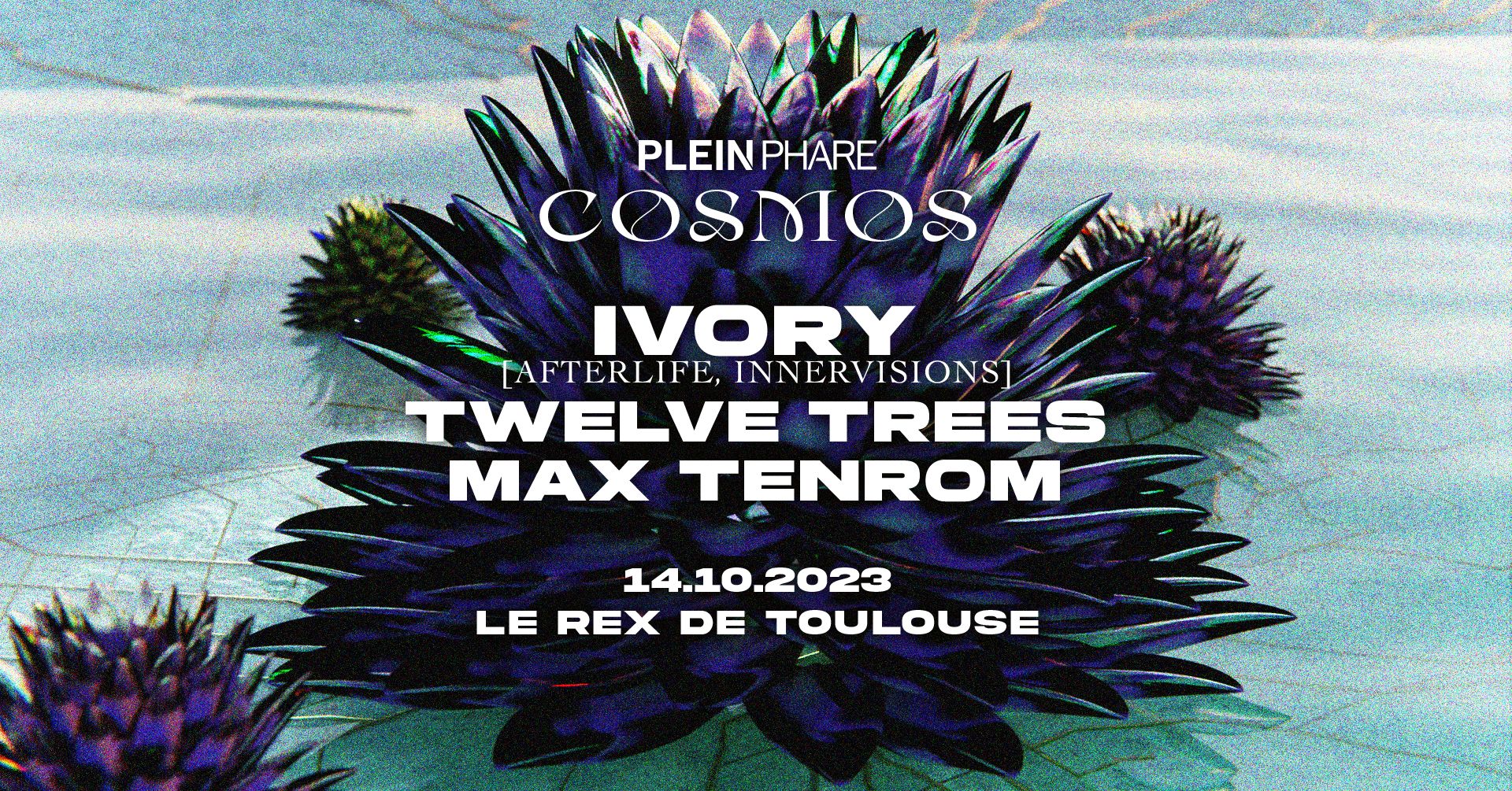 Cosmos W/ Ivory, Twelve Trees, Max Tenrom