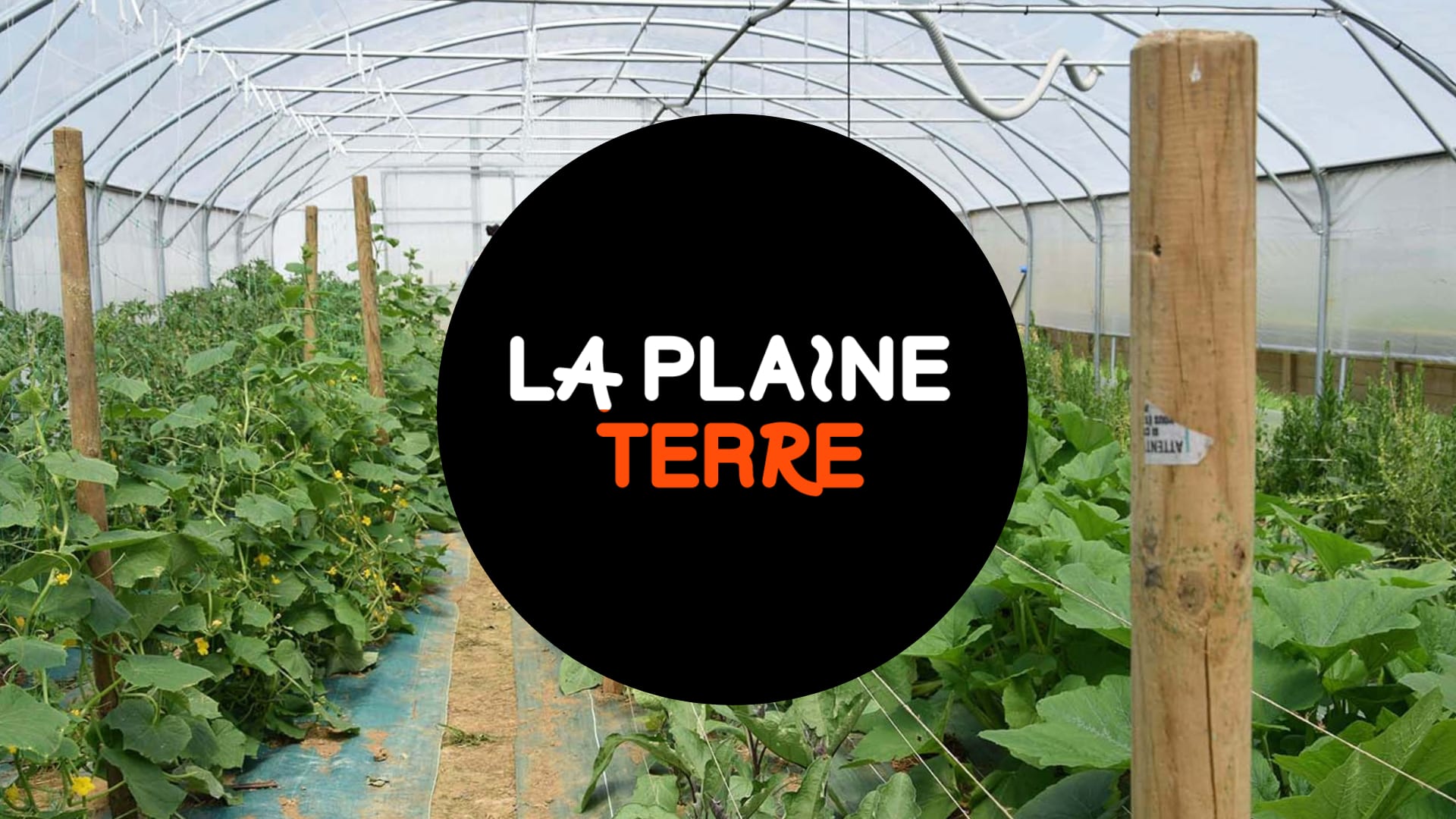 Bénévolat La Plaine Terre 2026