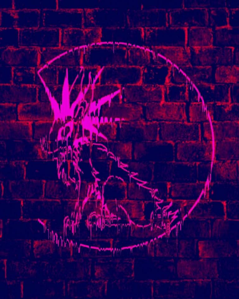 The Crazy Rabbit—Édition Punk