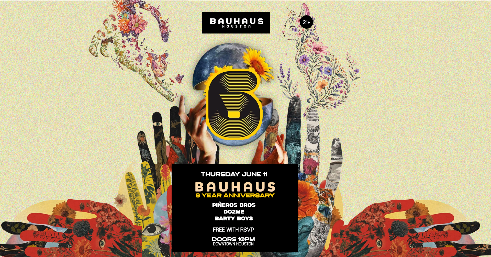 Bauhaus 6 Year Anniversary