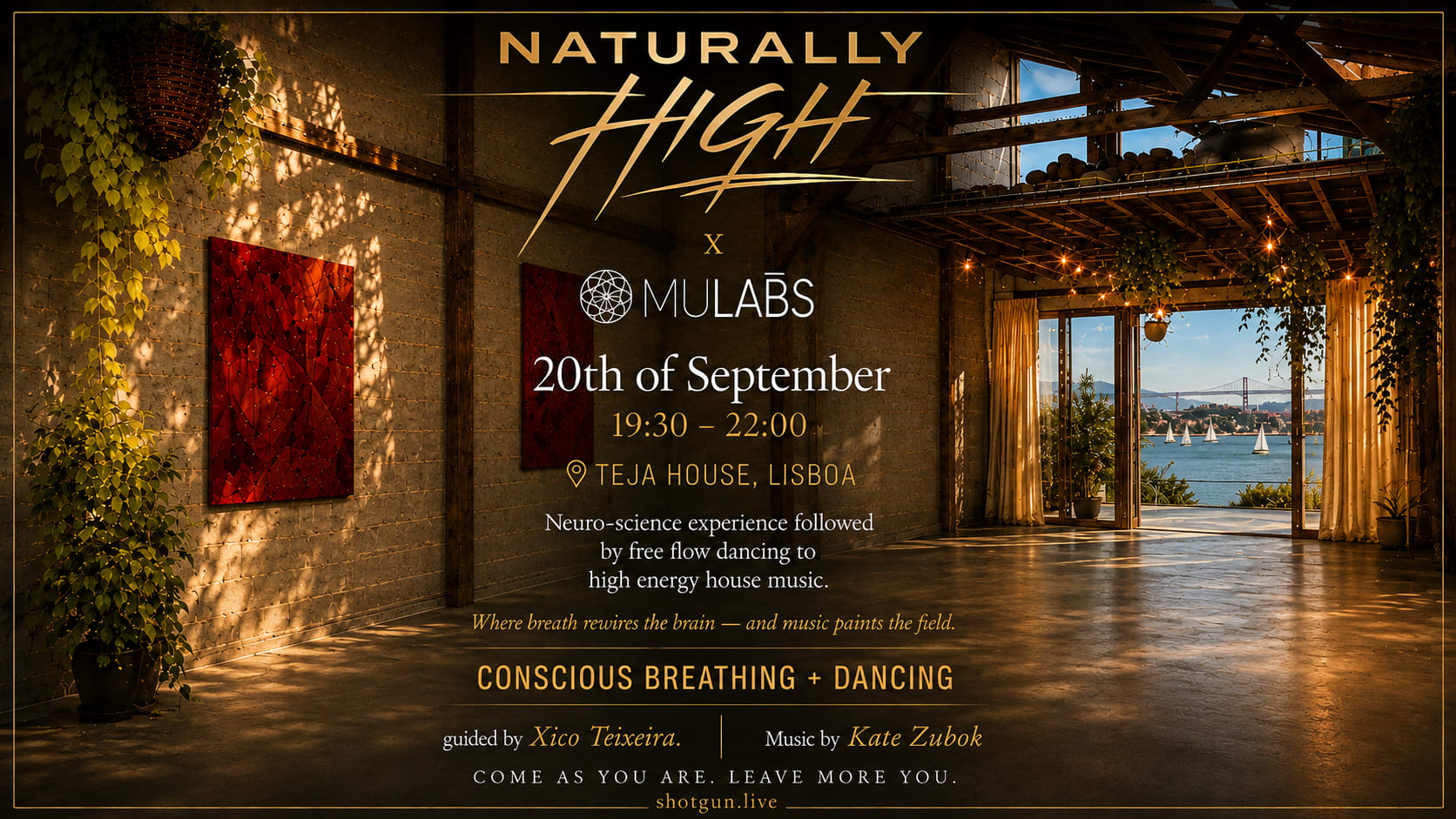 Naturally High X Mulabs
