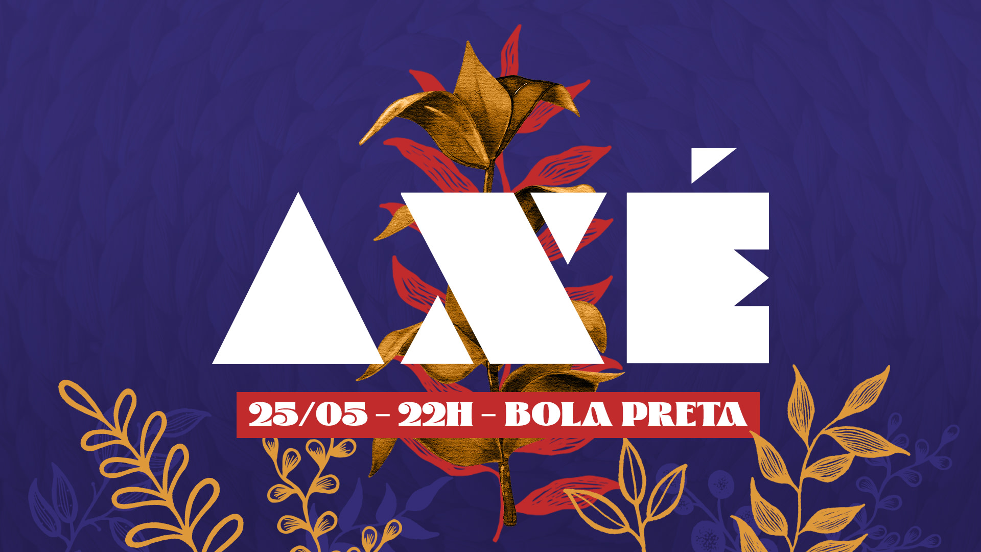 Festa Axé 12 Edição