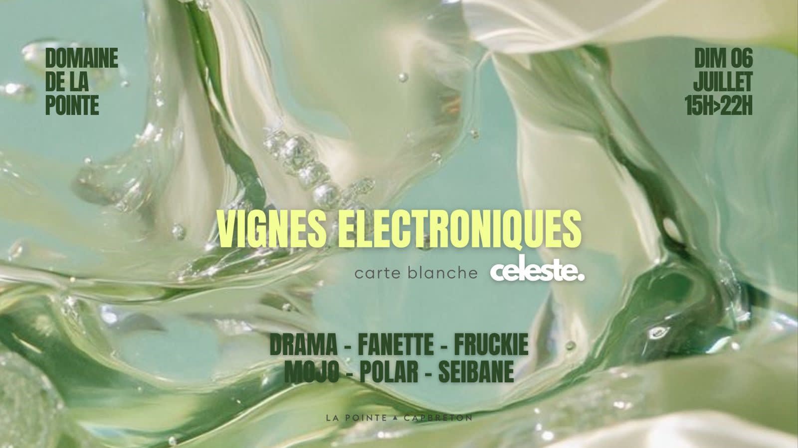 Vignes Electroniques - Carte Blanche À Celeste - La Pointe