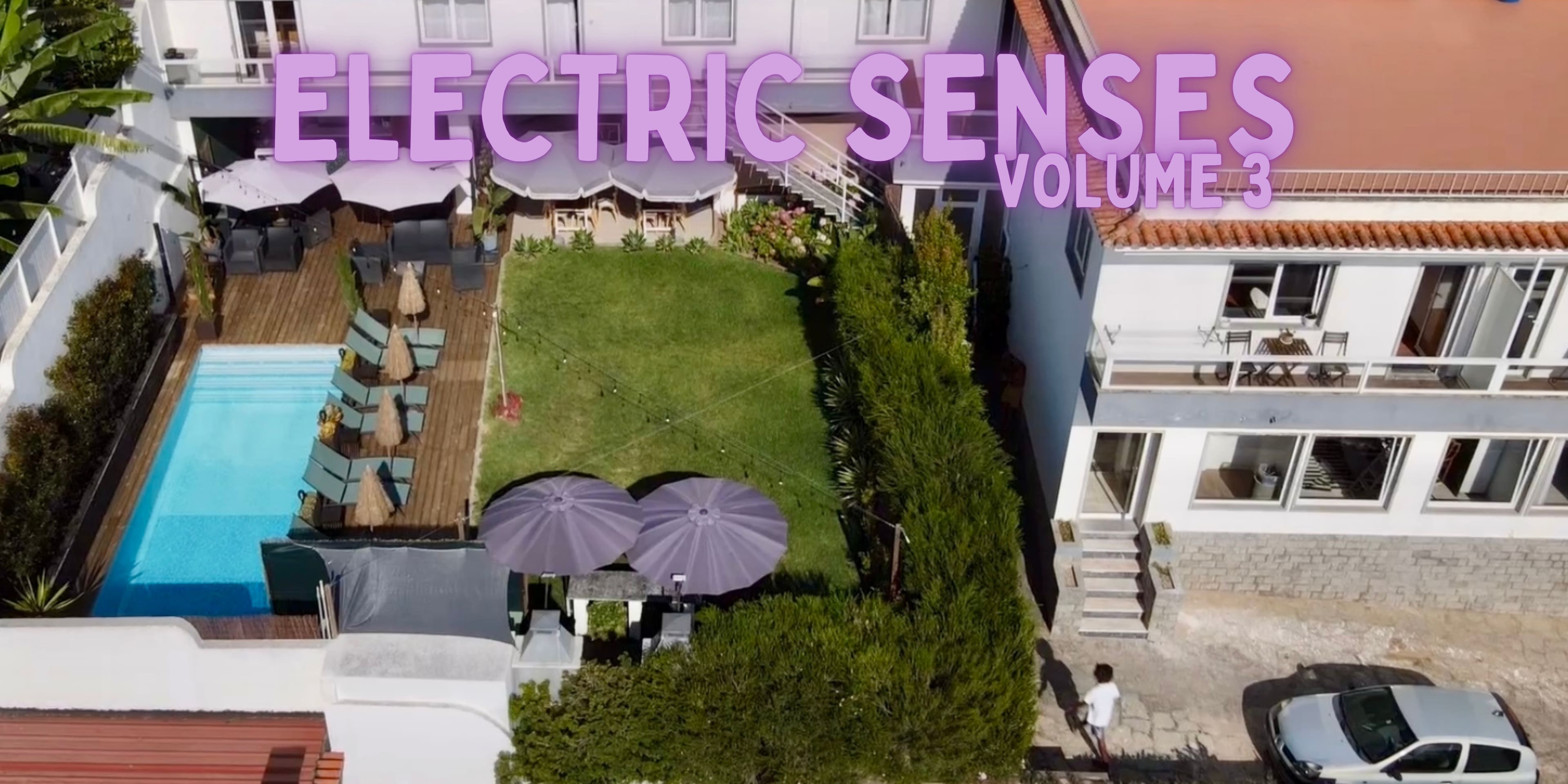 Electric Senses Vol. 3