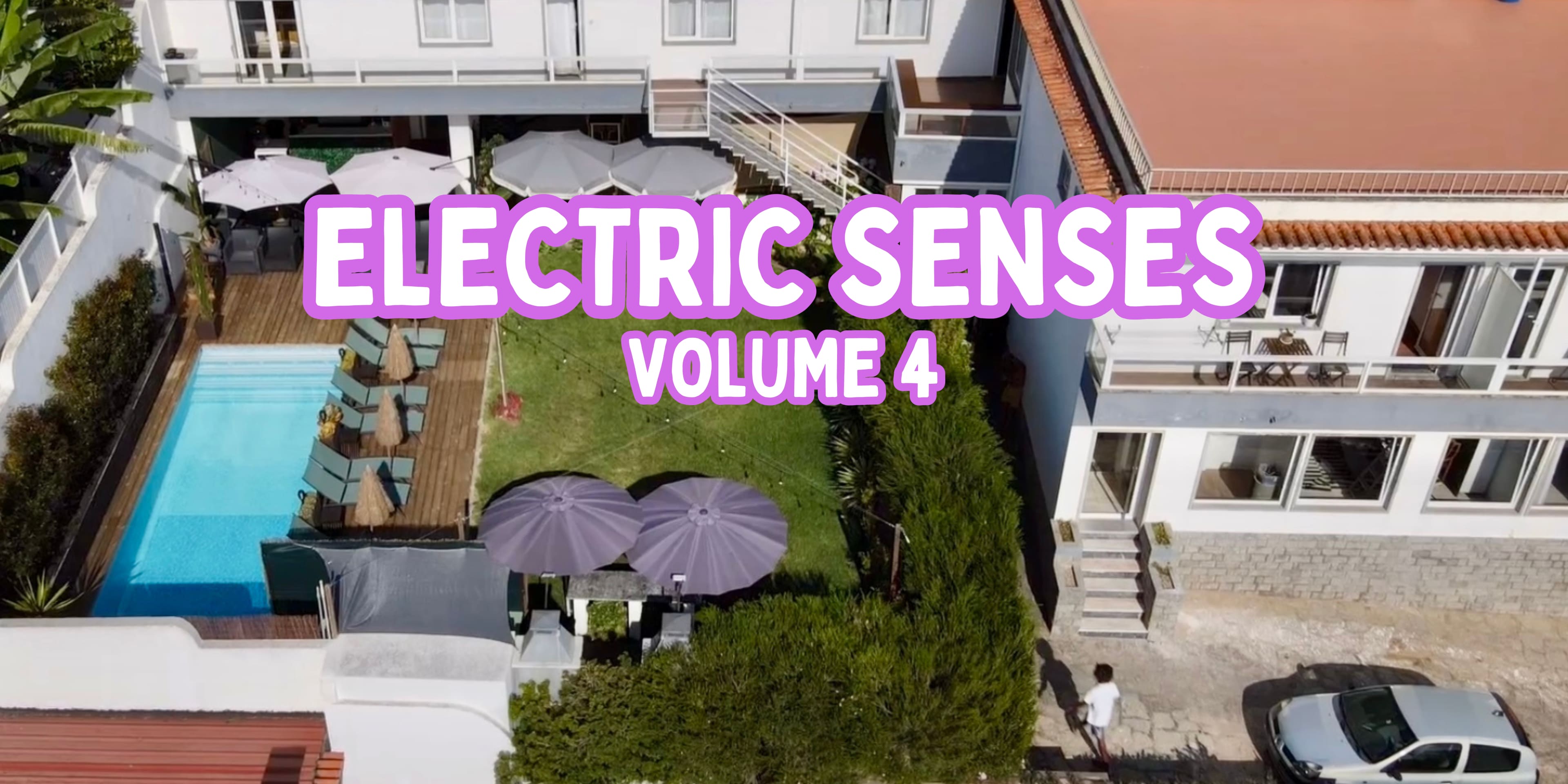 Electric Senses Vol. 4