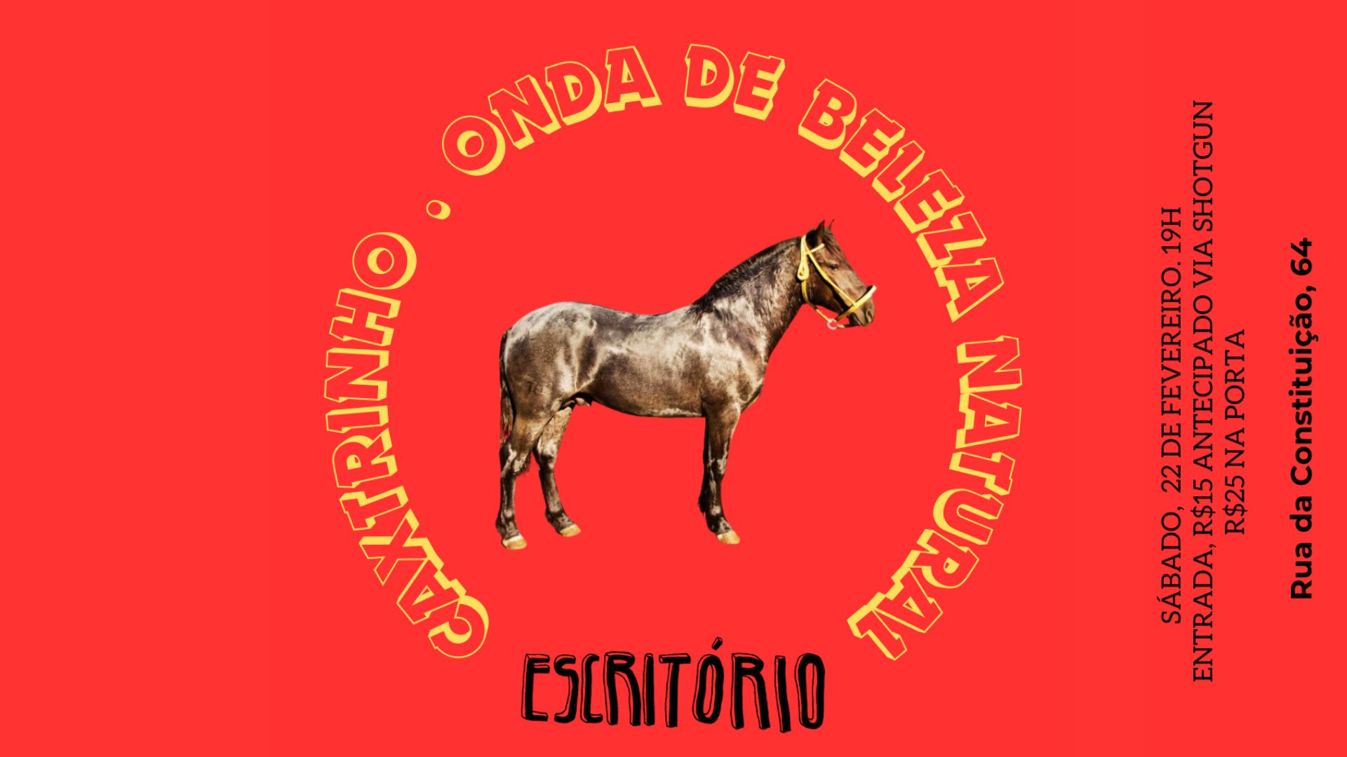 Caxtrinho • Onda De Beleza Natural No Escritório