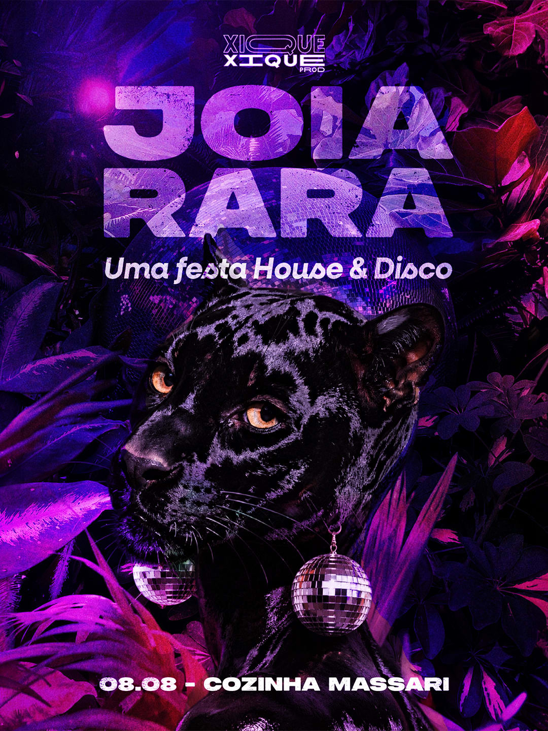 Joia Rara 10, Uma Festa House E Disco