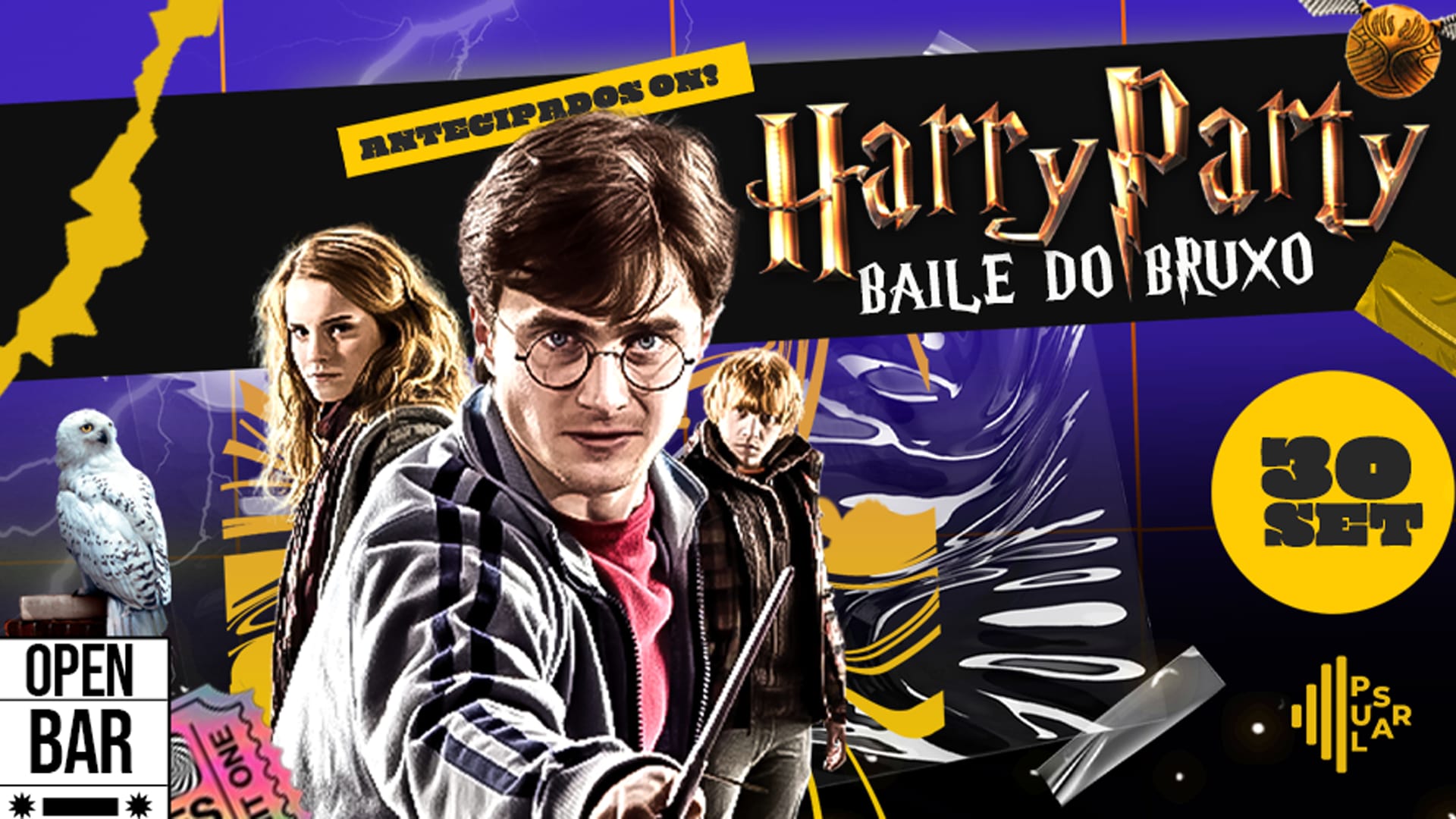 Harry Party / Baile Do Bruxo