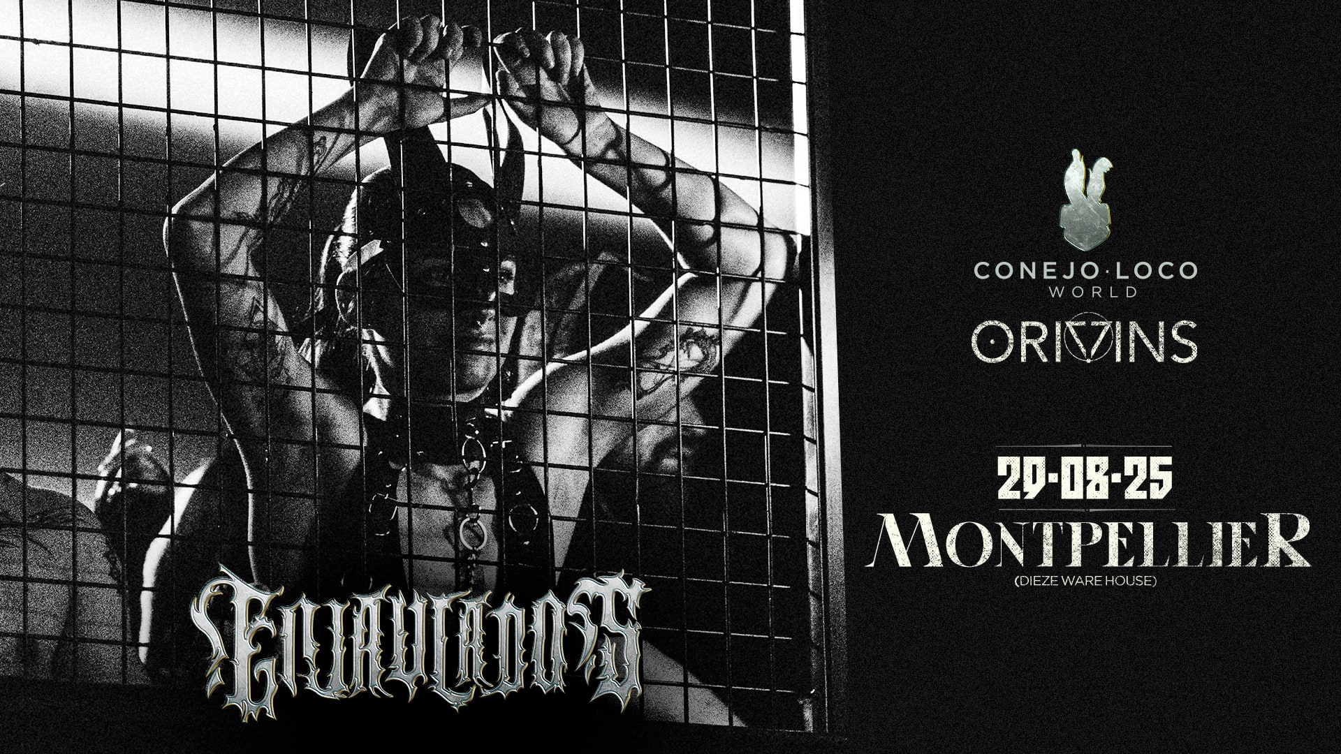Conejo Loco World X Origins