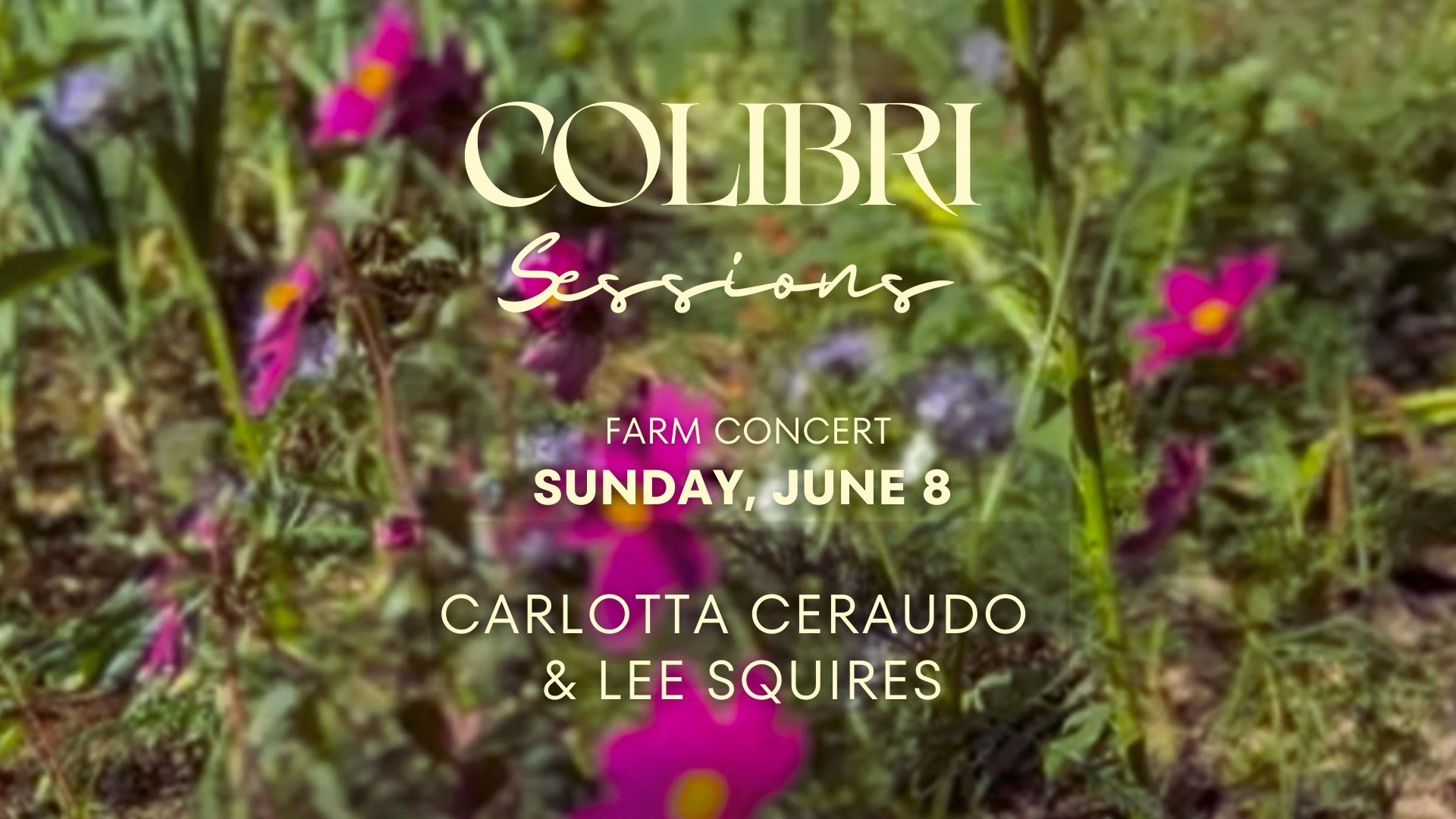 Colibri Session - Farm Concert