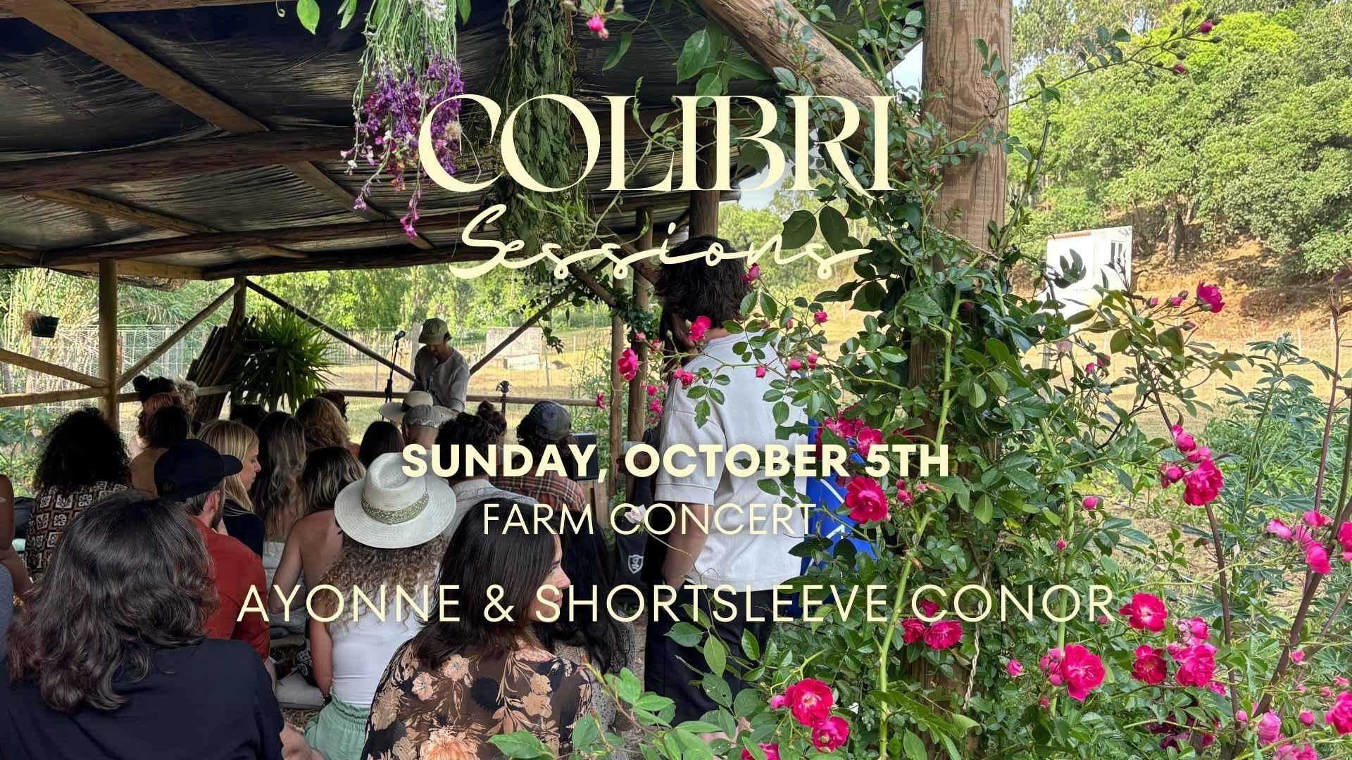 Colibri Session - Farm Concert