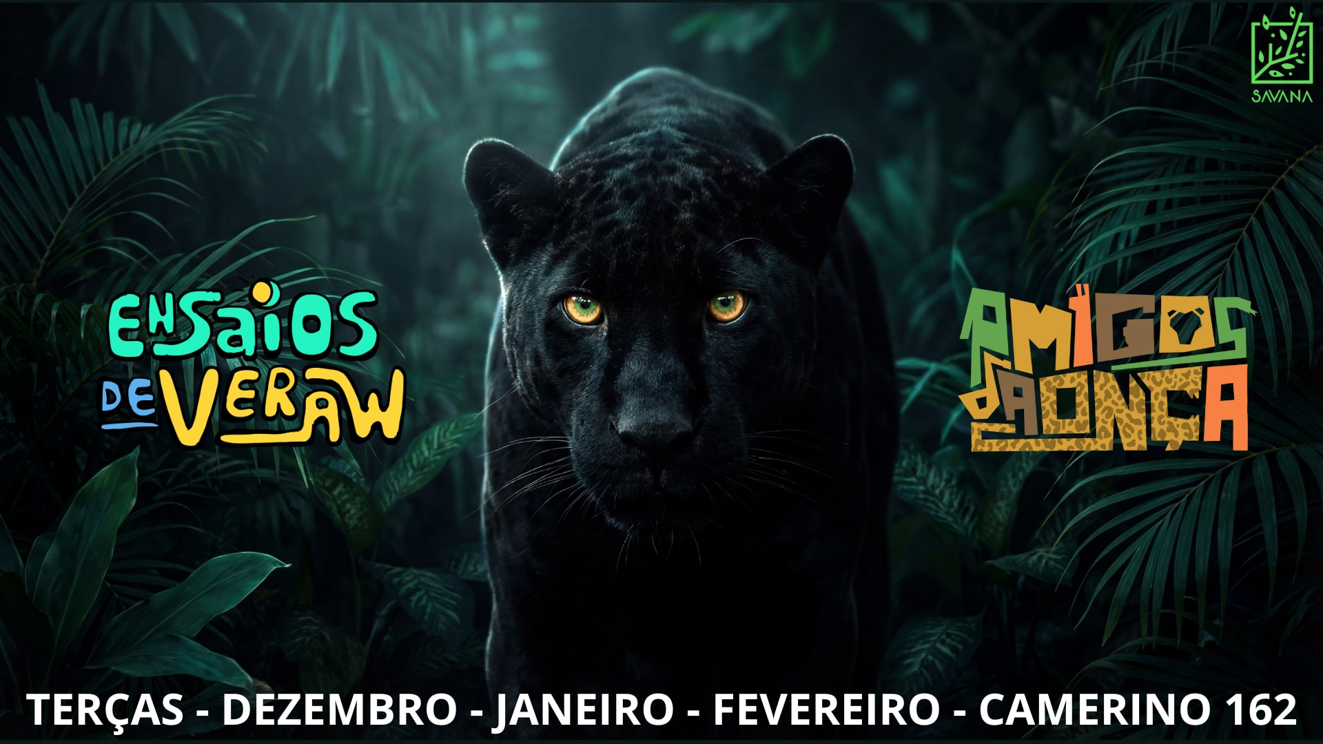 Bloco Amigos da Onça