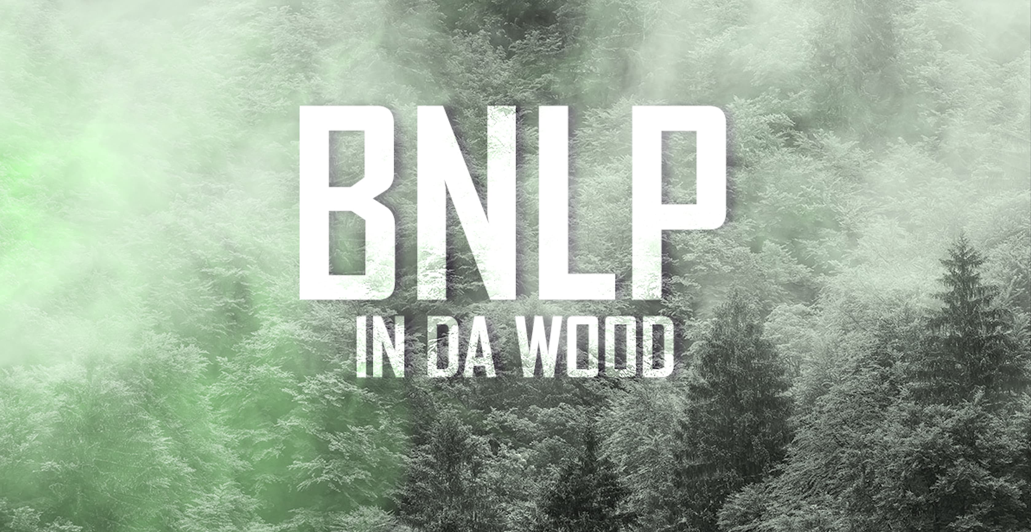 Bnlp - In Da Wood  (04/09/21)