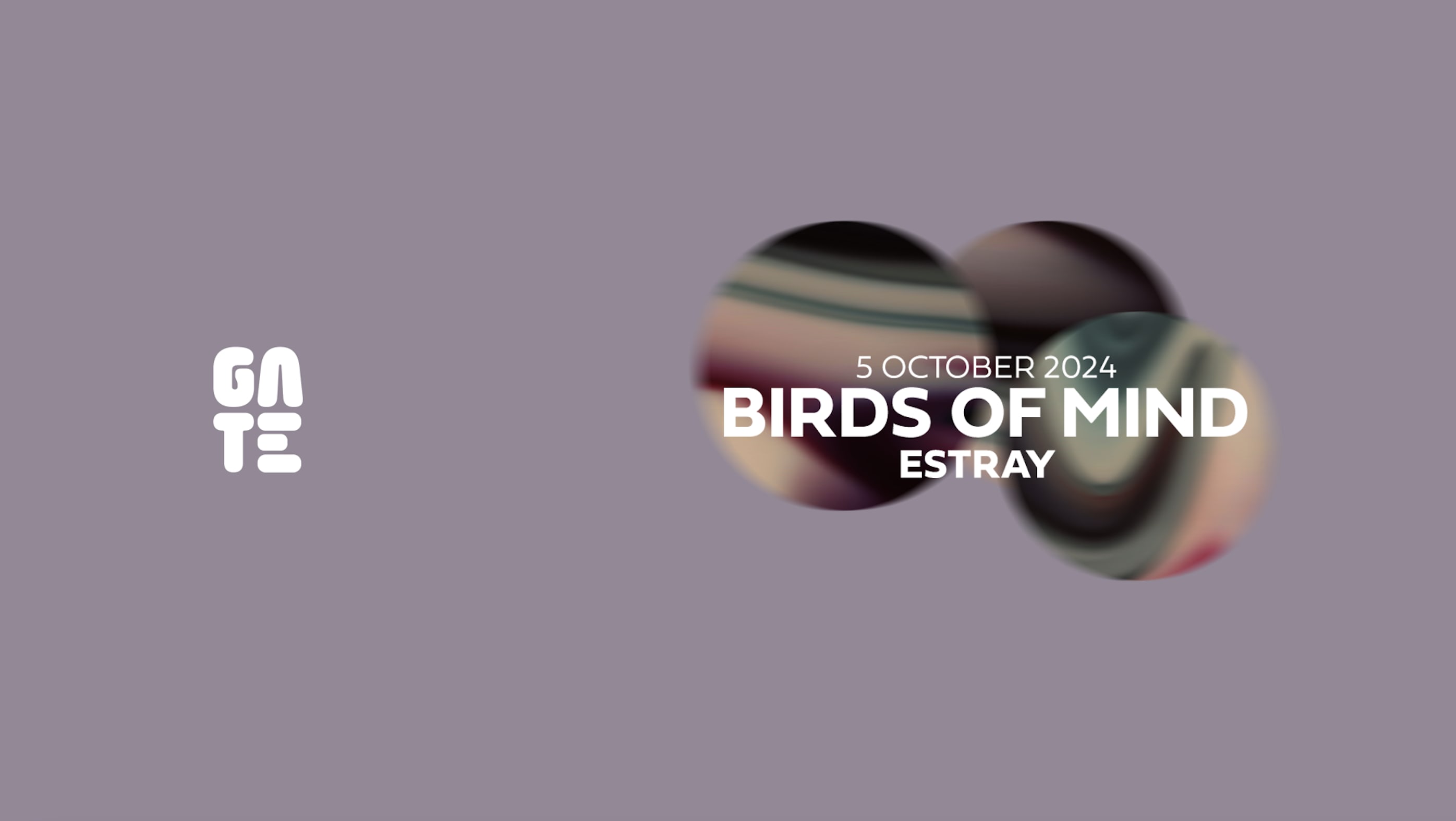 Birds Of Mind X Estray At Gate Club Paris