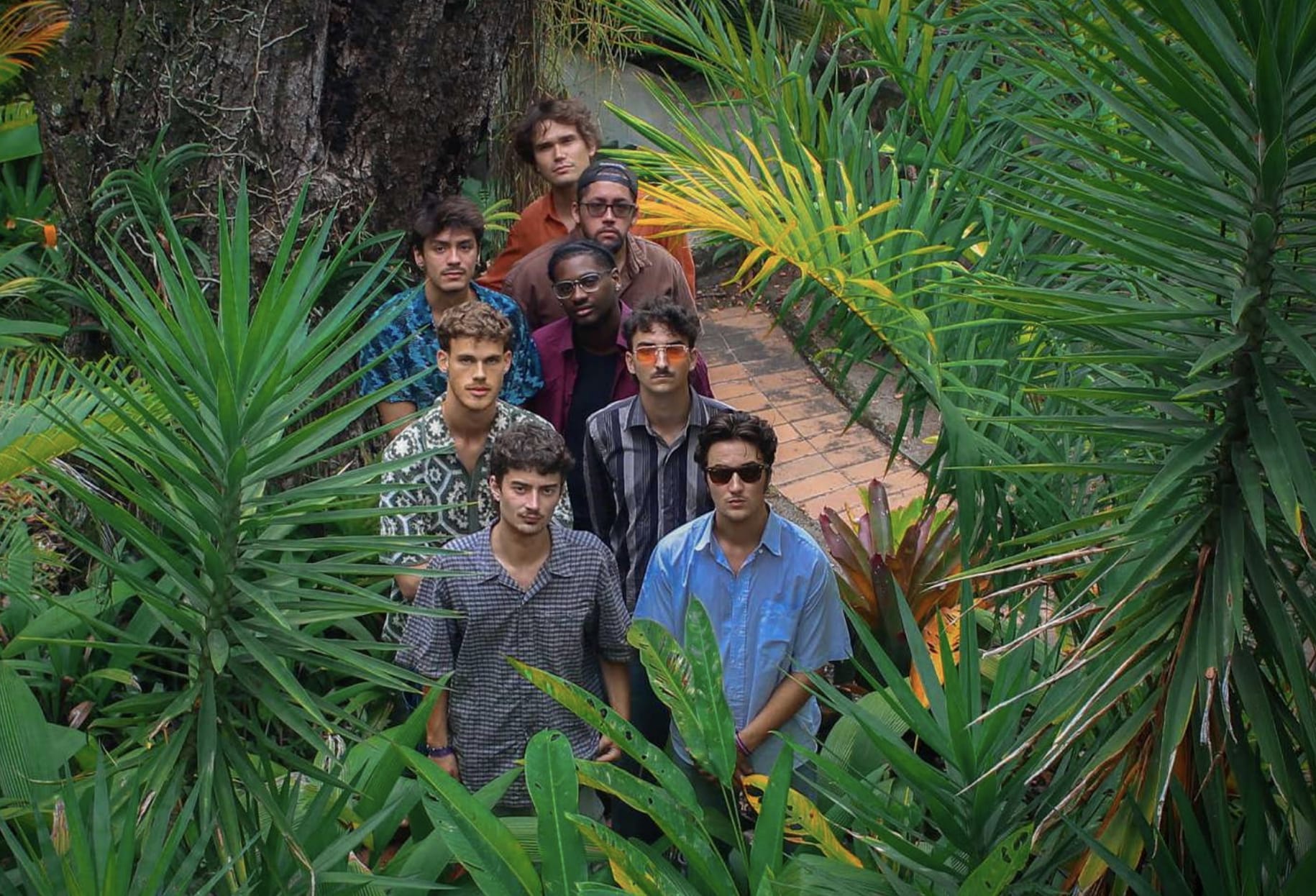 Sapocaya - Nonsense Live