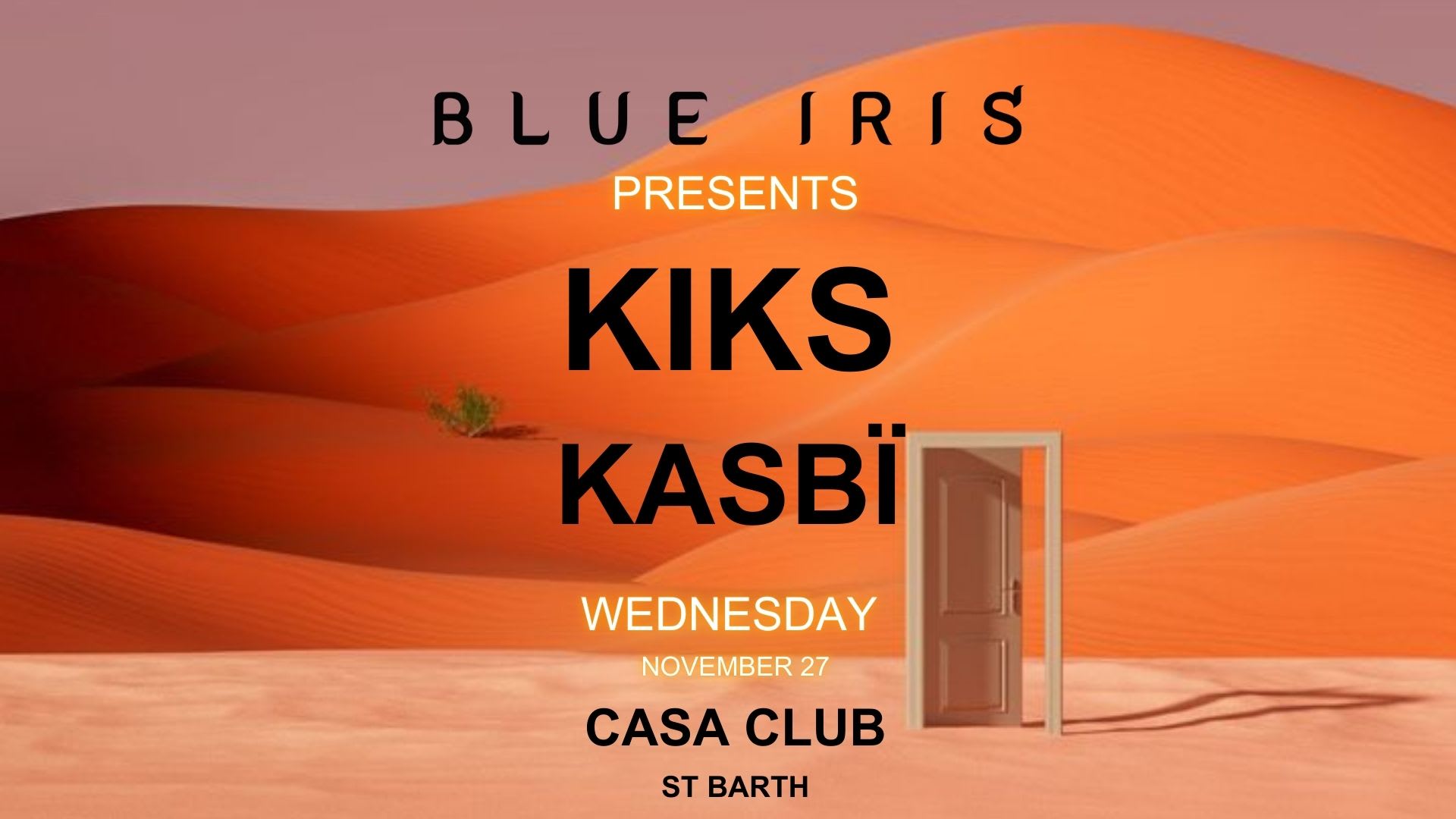 Blue Iris X Casa Club - 27 Novembre 2024