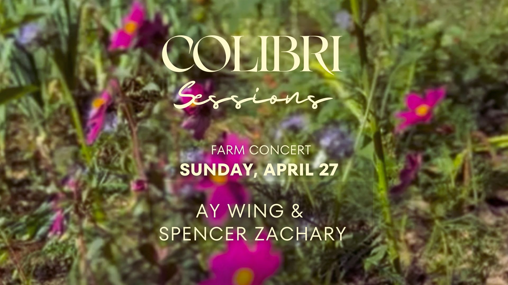 Colibri Session - Farm Concert