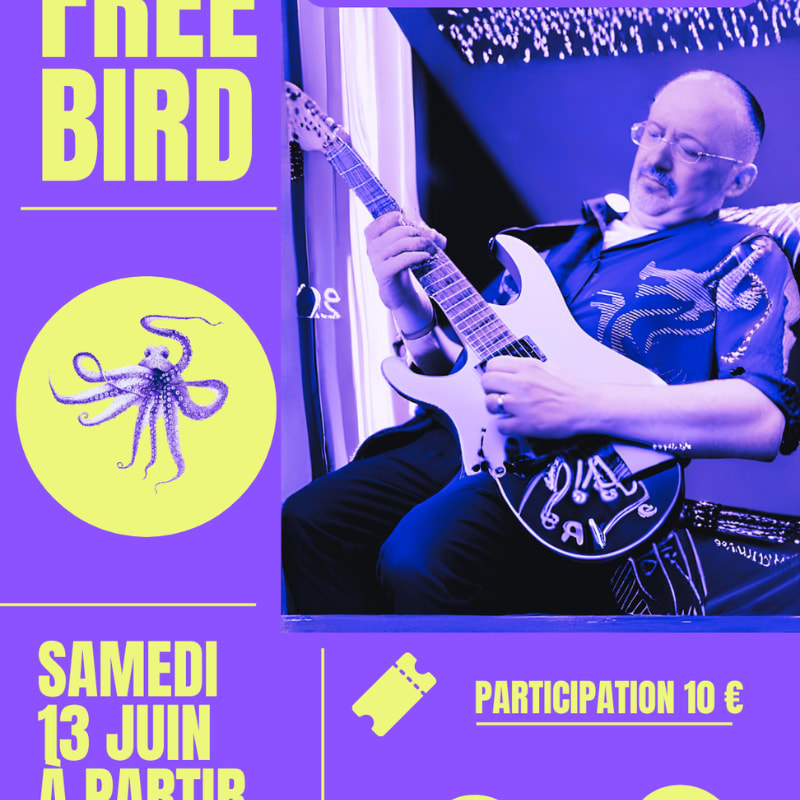 Freebird - Concert Live Performance