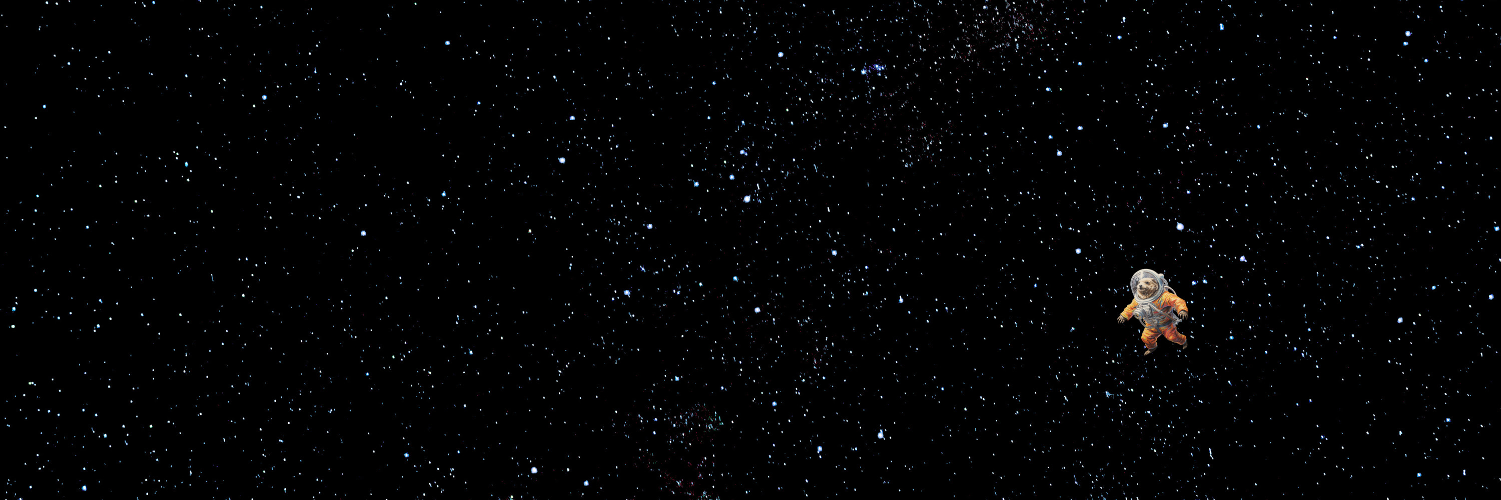 Otter Space