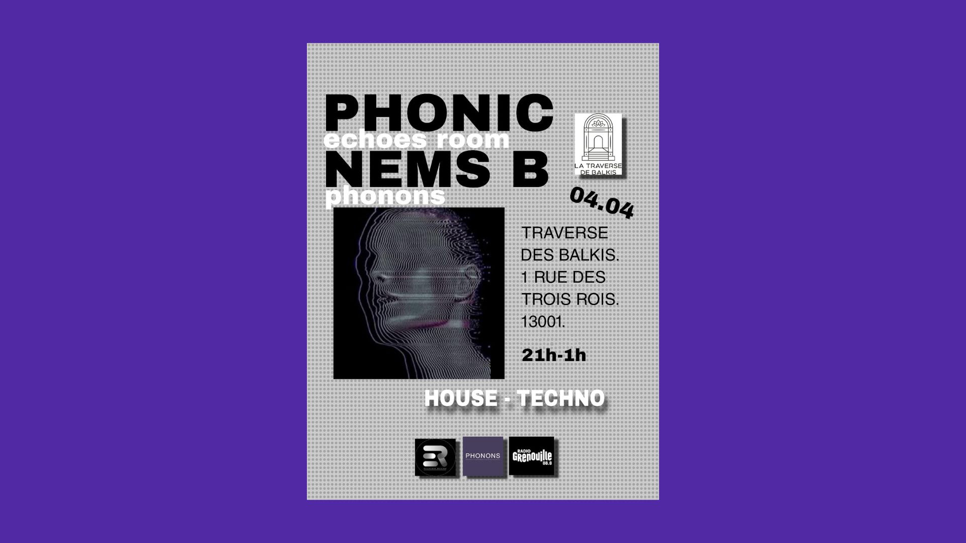 Phonic Echoes Room Nems B Phonons