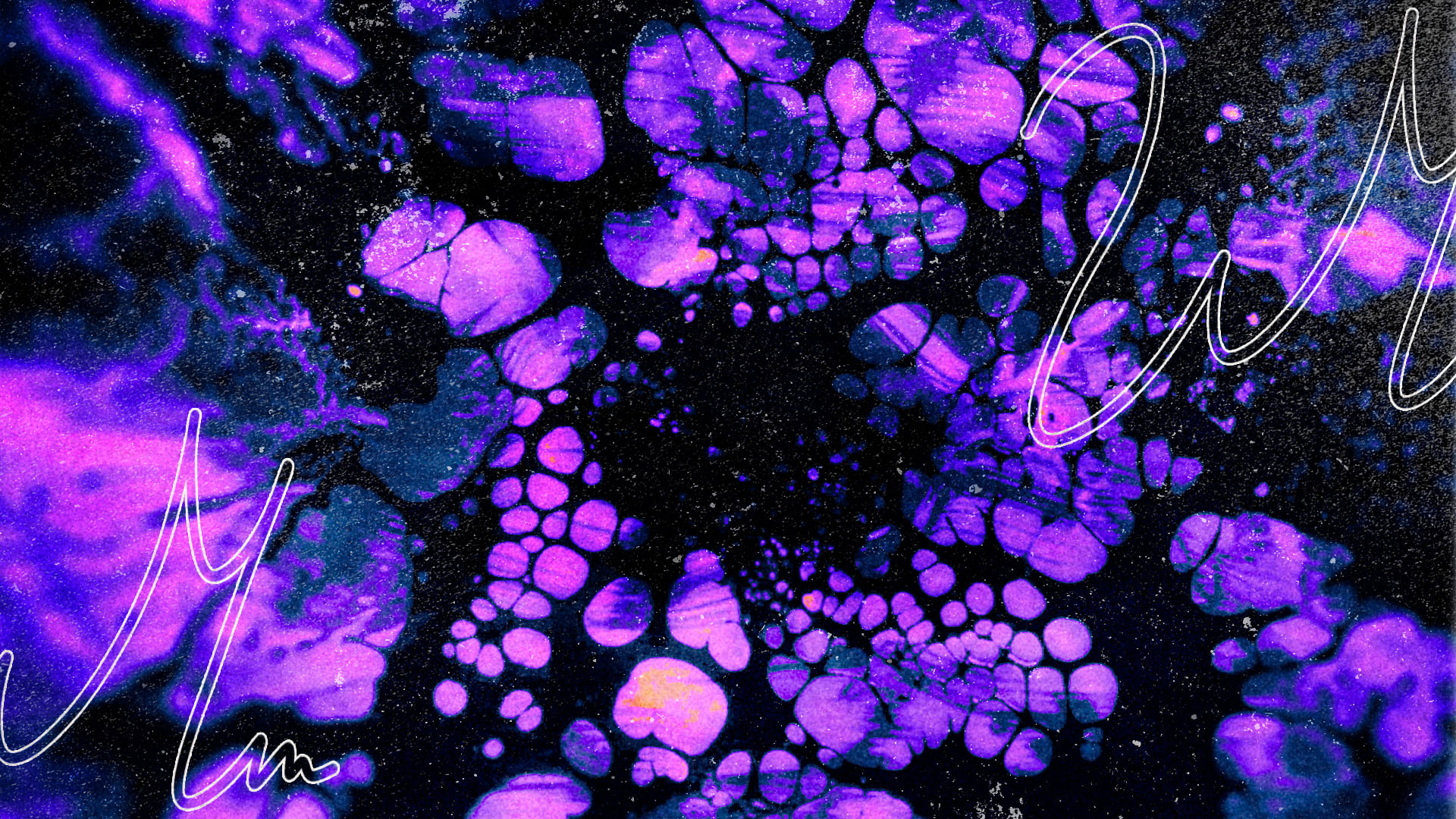 ENTER THE VOID