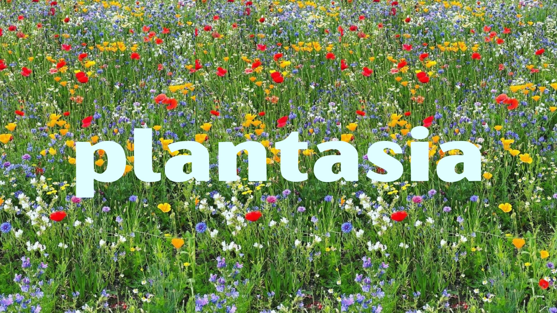 plantasia