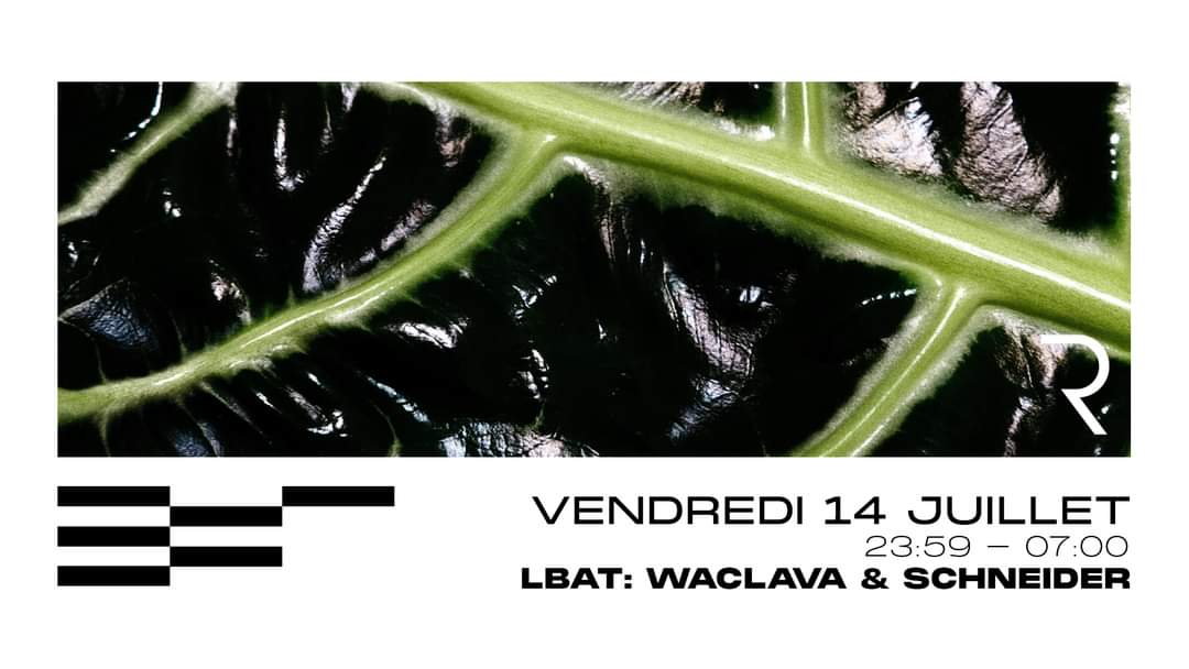 Lbat Meet Waclava & Analog Mind