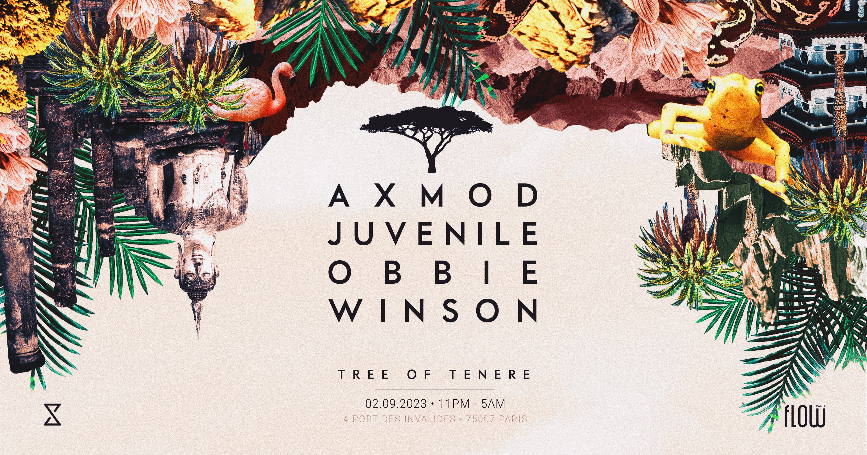Tree Of Ténéré X Le Flow
