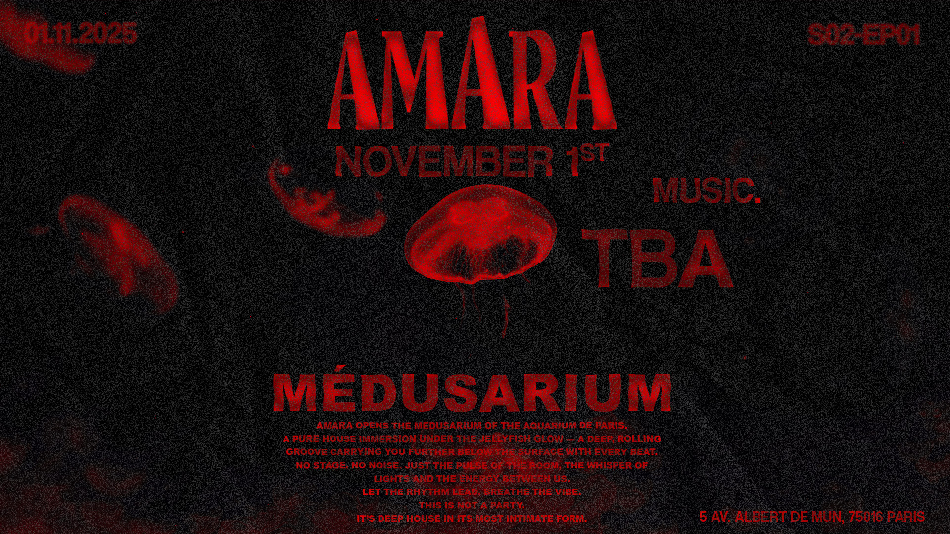 Amara – 1er Novembre | @Medusarium