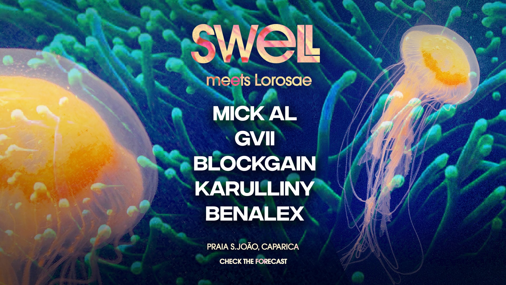 Swell Meets Lorosae