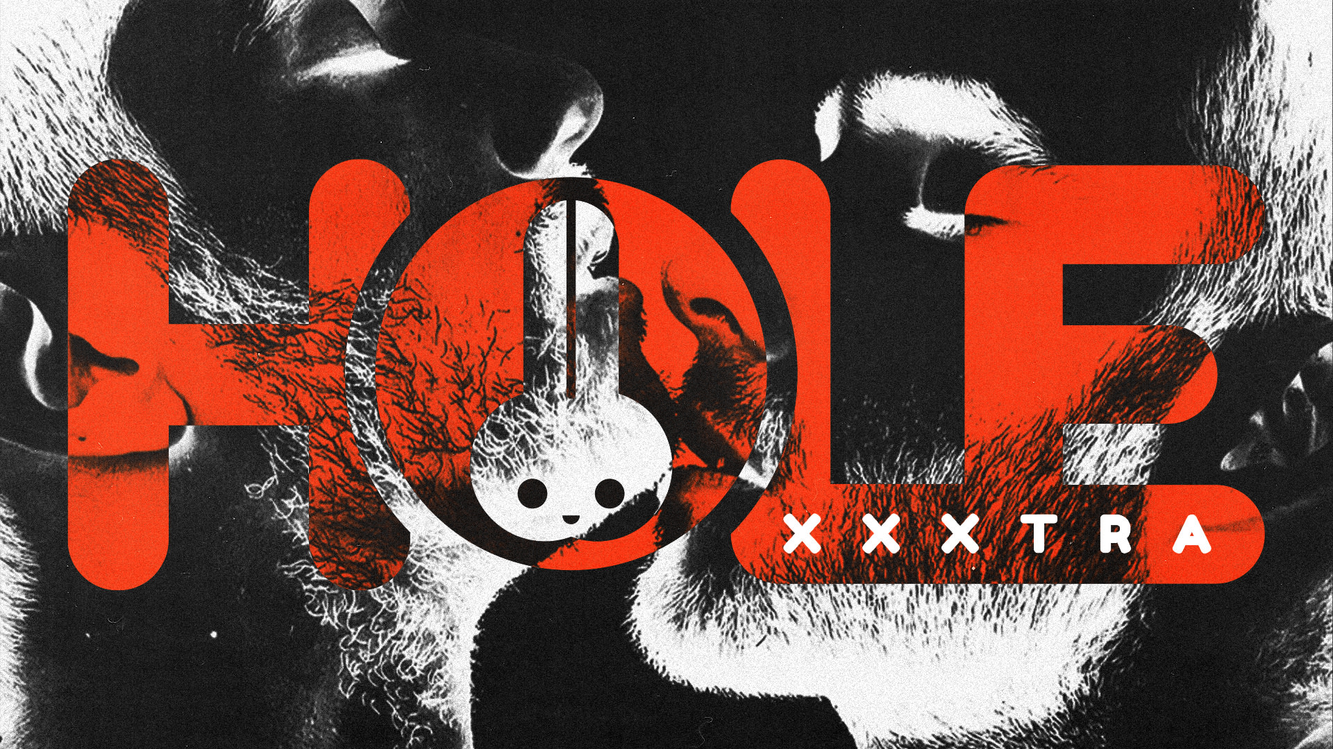 Hole Xxxtra: Primeira Do Anvs