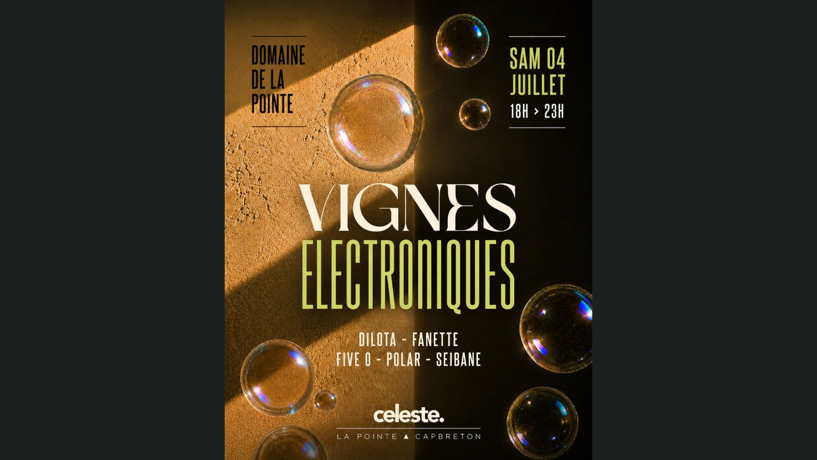 Céleste Vignes Électroniques  III
