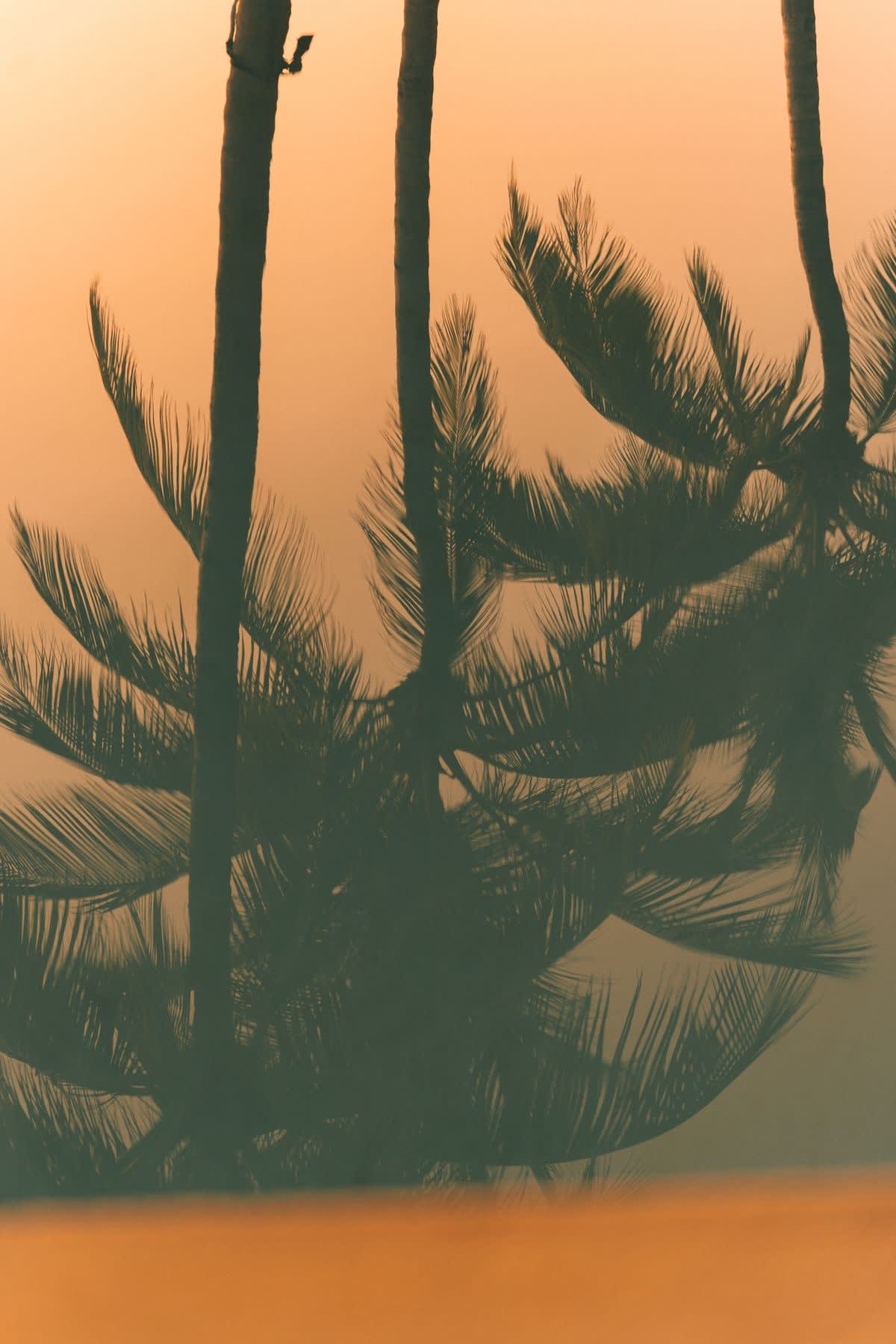 Soft Opening - 4 Avril