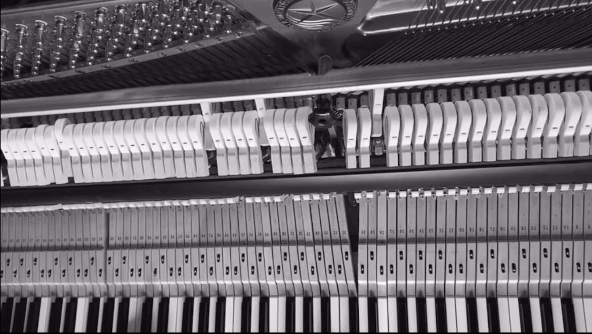 W Live Piano Concert