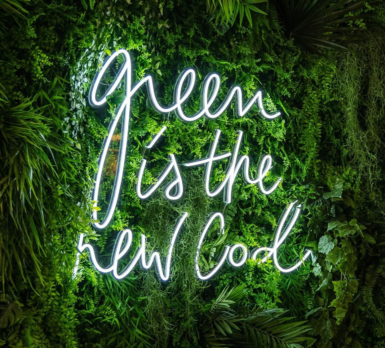 Festival Green Is The New Cod