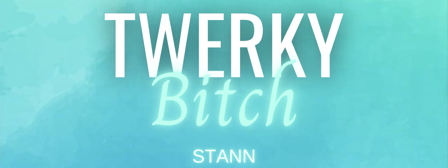 Twerkybitch Avec Dj Stann