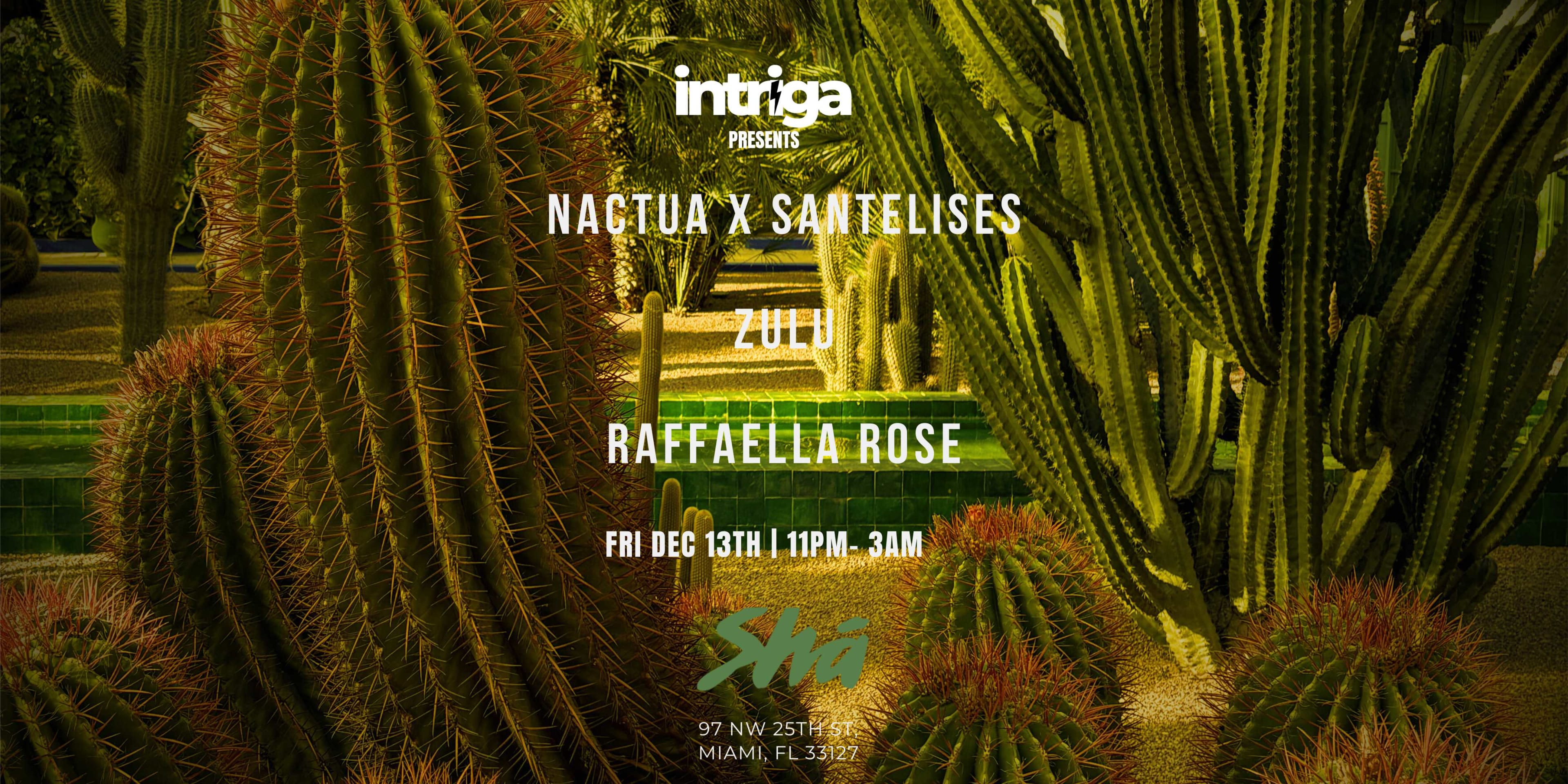 Intriga At Sha Wynwood