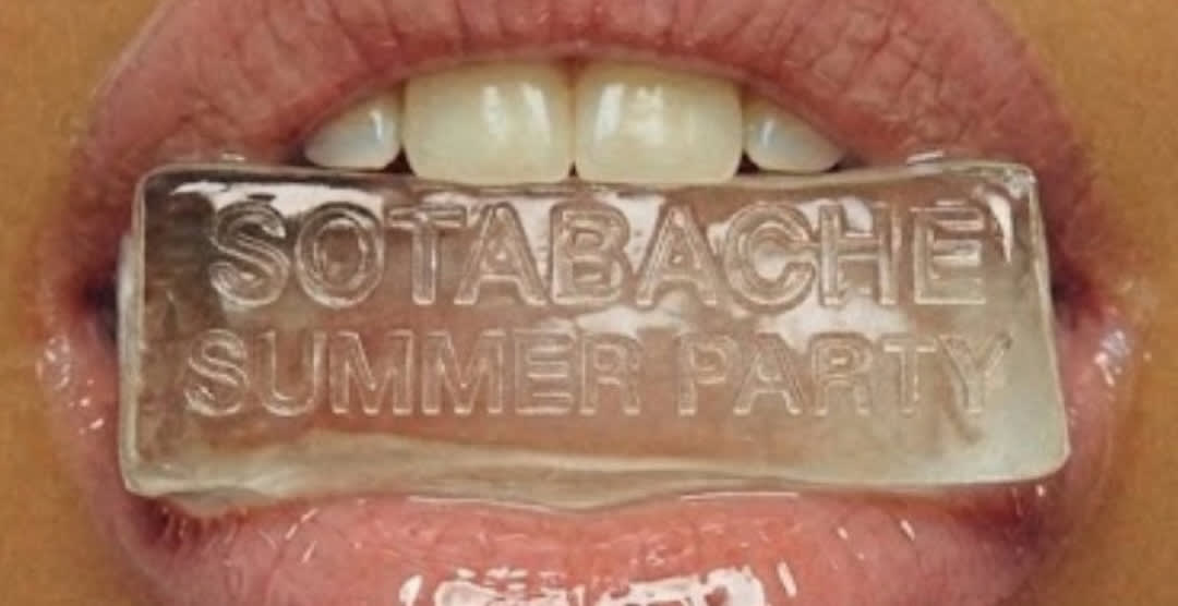 Sotabache Summer Party 1