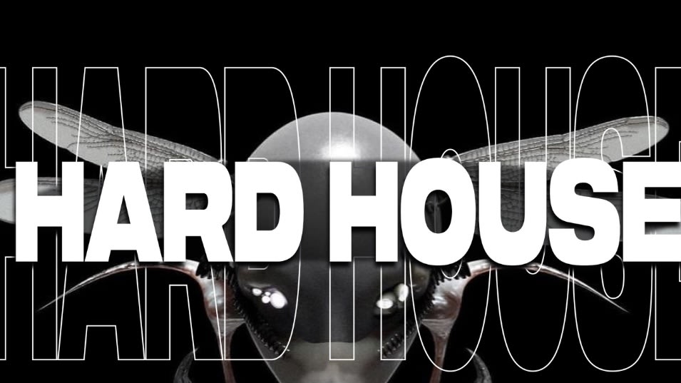 My Hard House - Crd - Untrx - N-Zo