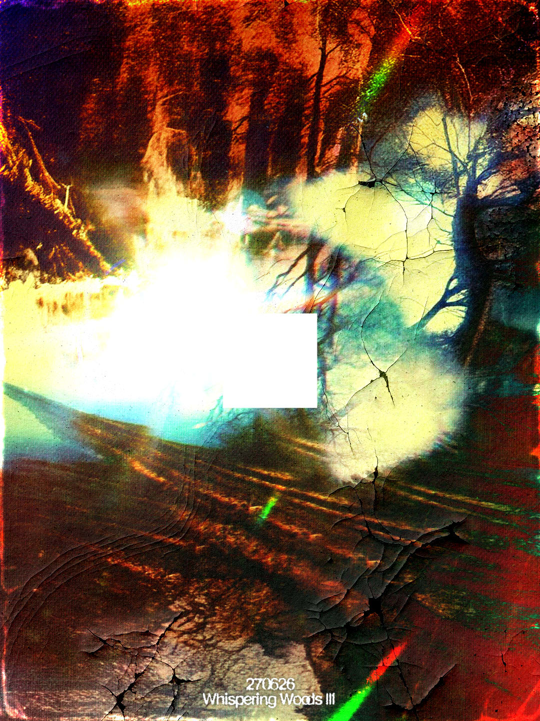 Whispering Woods #3