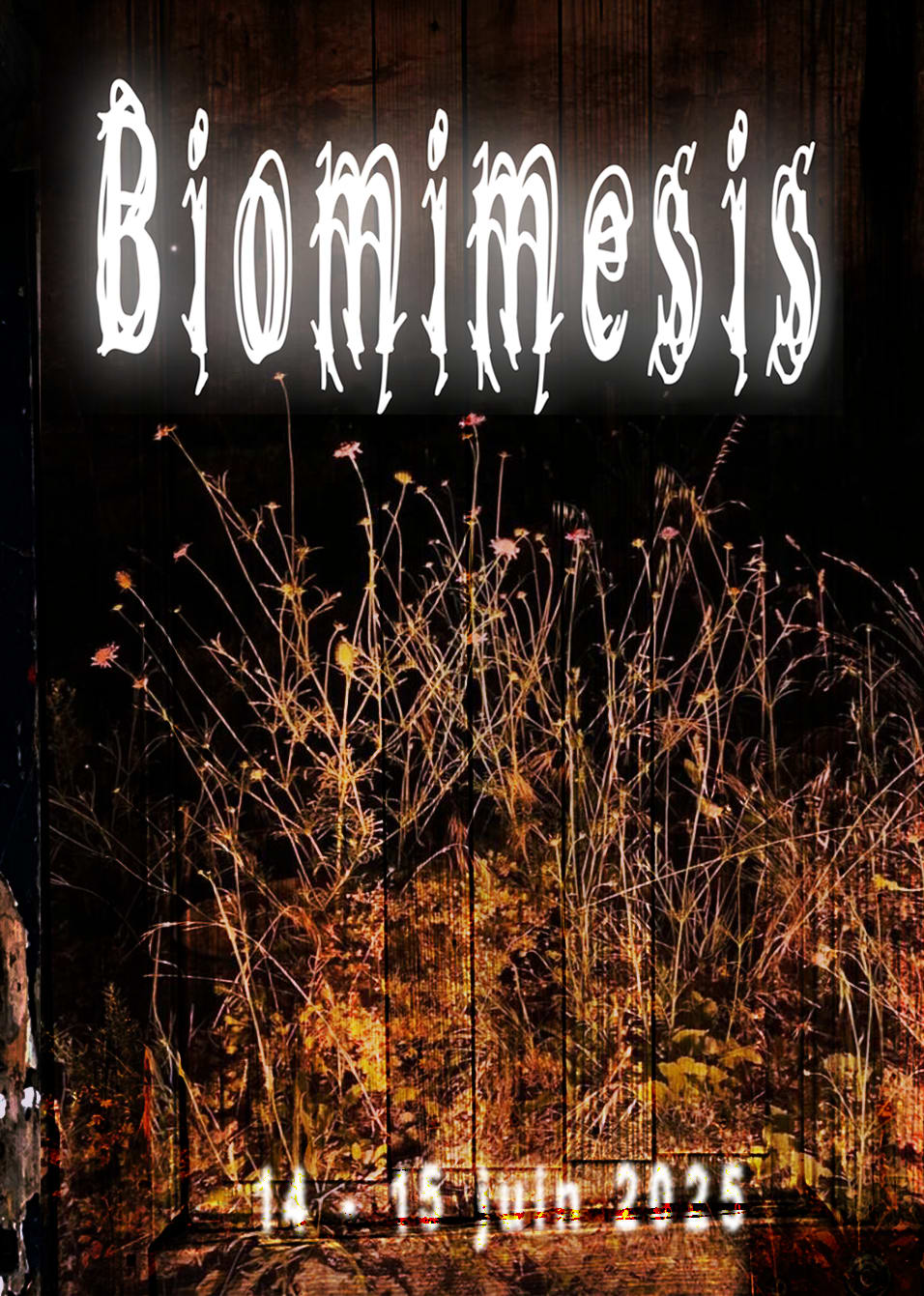 Biomimesis