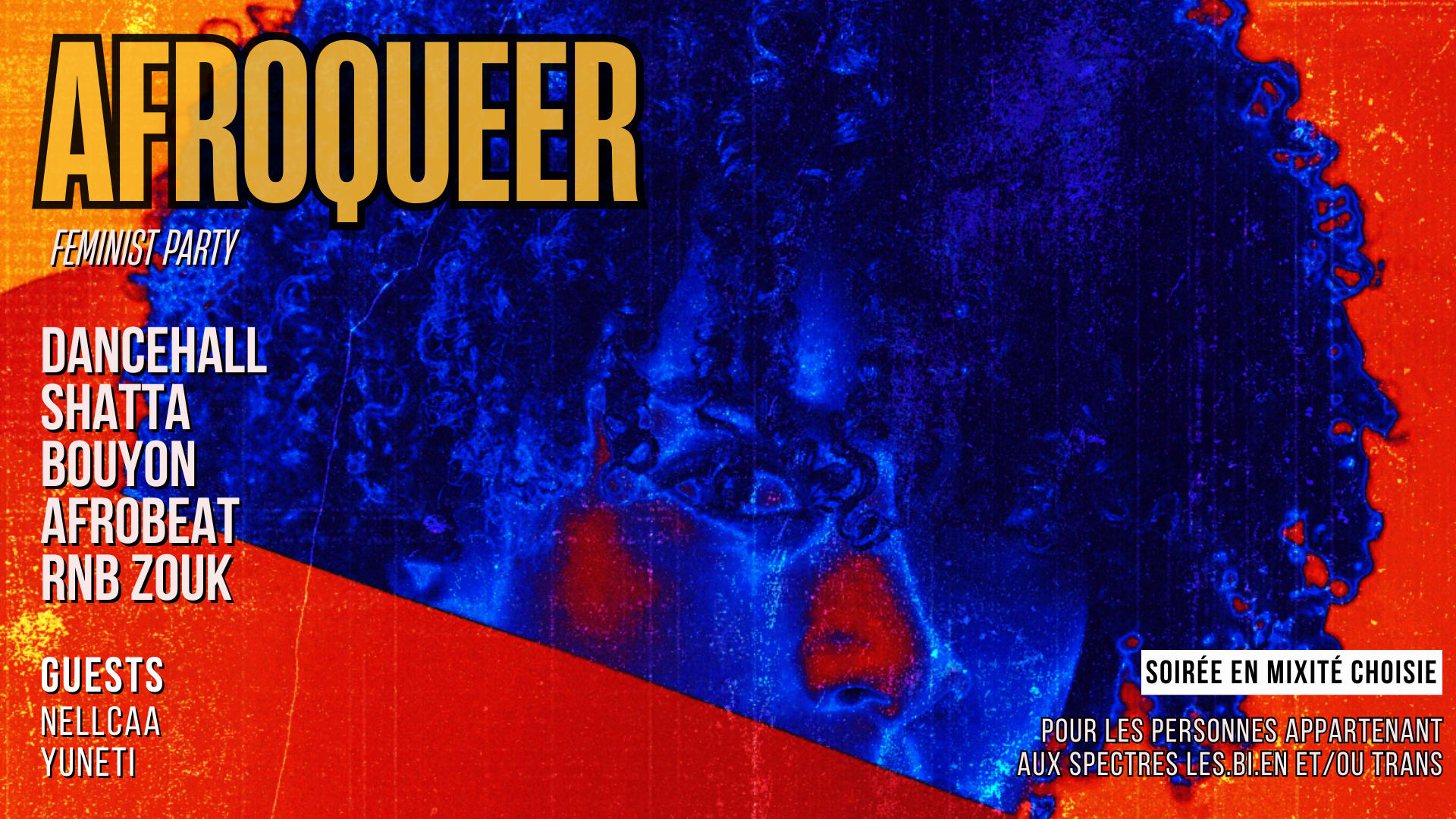 Afro Queer Feminist Party 27.03
