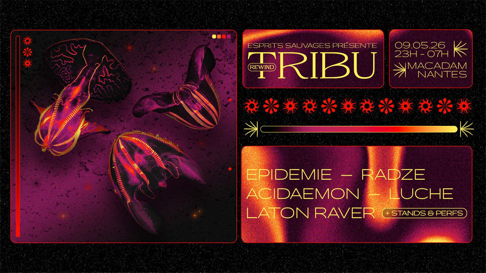 Tribu · Epidemie - Radze - Acidaemon - Luche - Laton Raver