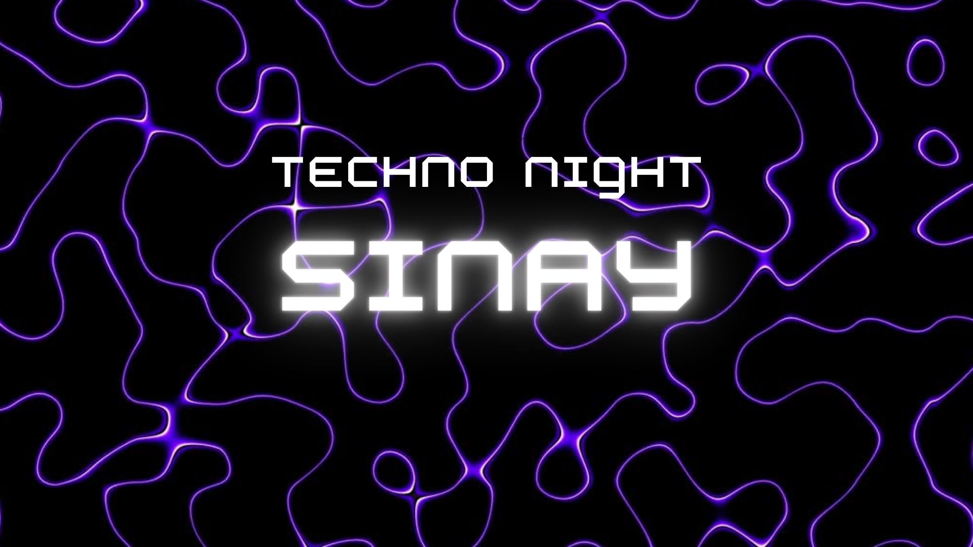 Techno Night Sinay