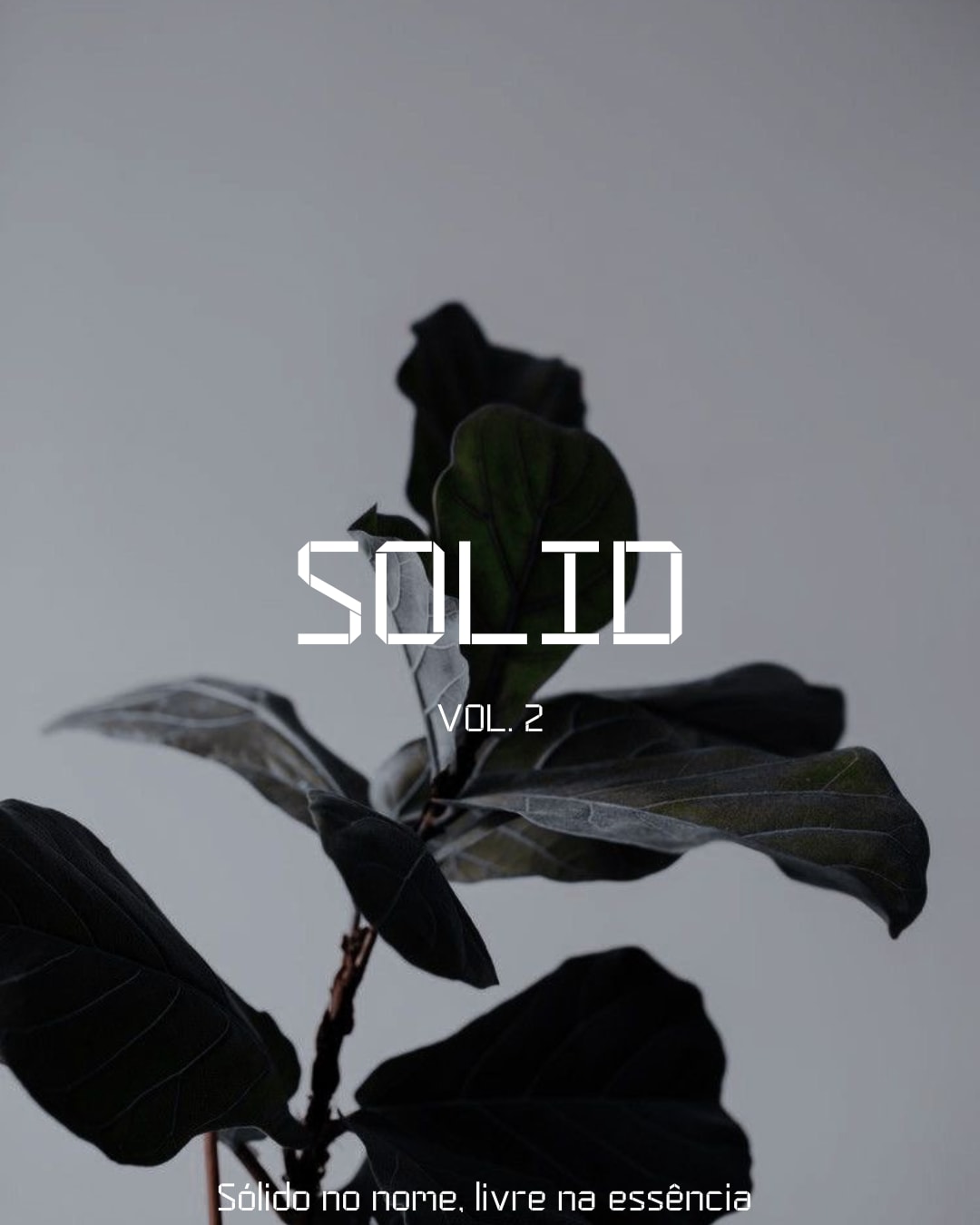 Solid Vol.2